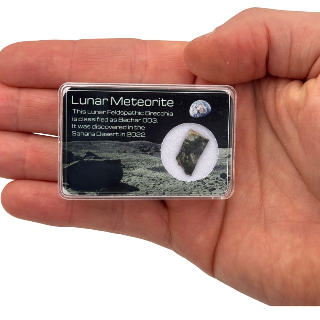 Fragment de Météorite Lunaire - Bechar 003 (Brèche)