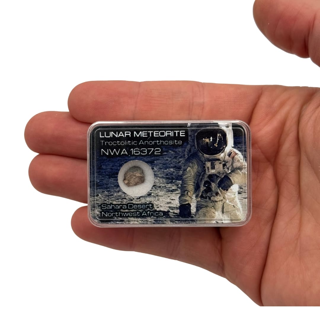 Fragment de Météorite Lunaire - NWA 16372 (Anorthosite)