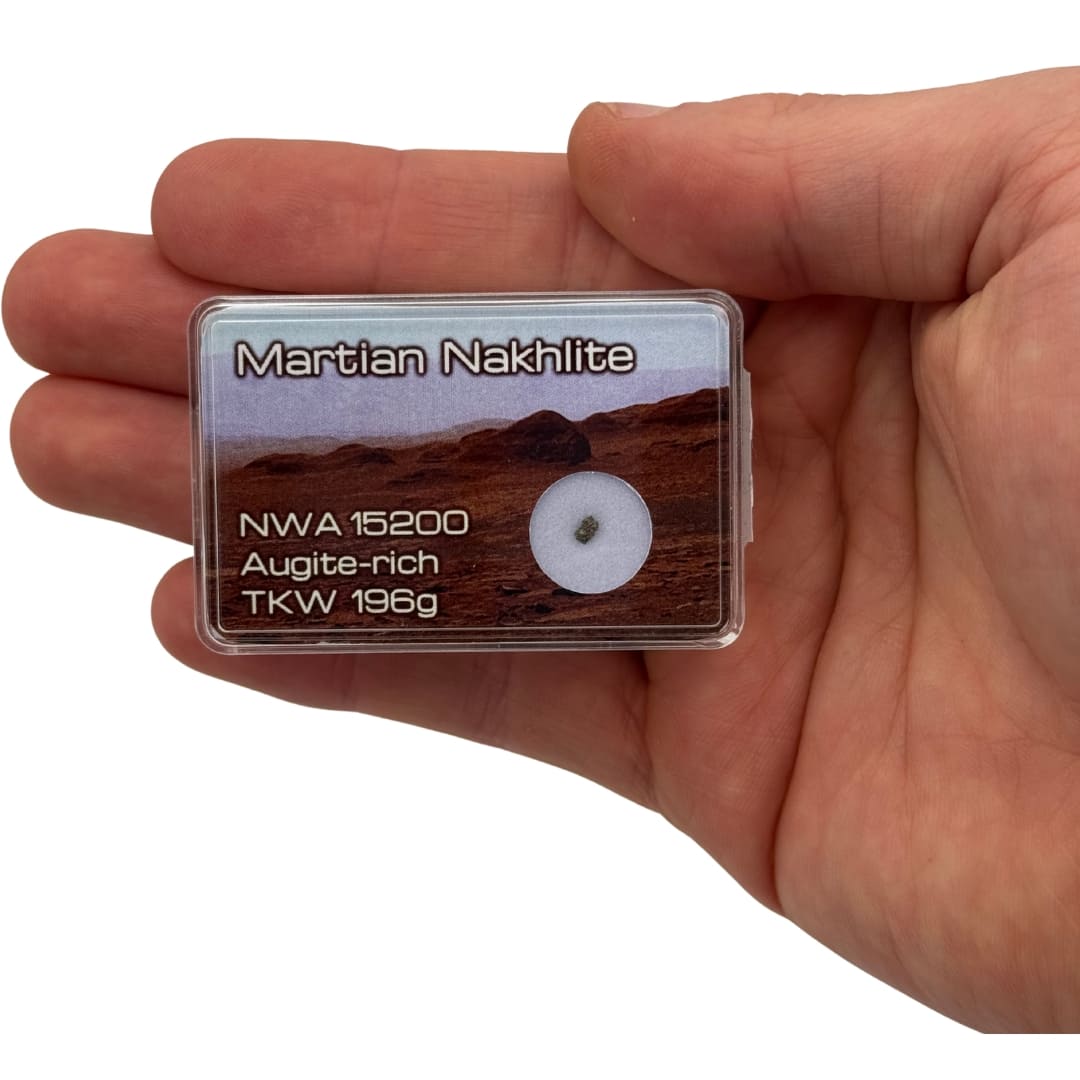 Météorite Martienne NWA 15200 - Nakhlite Rare (Augite)