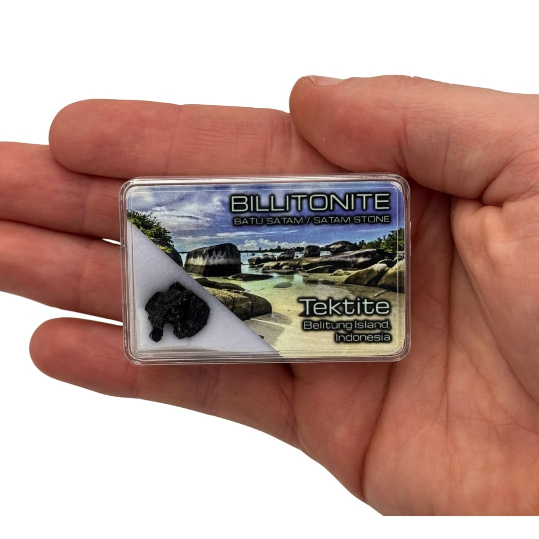 Billitonite "Batu Satam" - Tektite Rare d'Indonésie