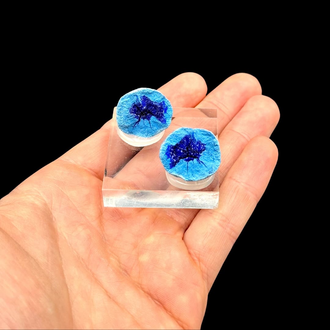 Azurite Bleue en "Mini Géode" - (Russie)