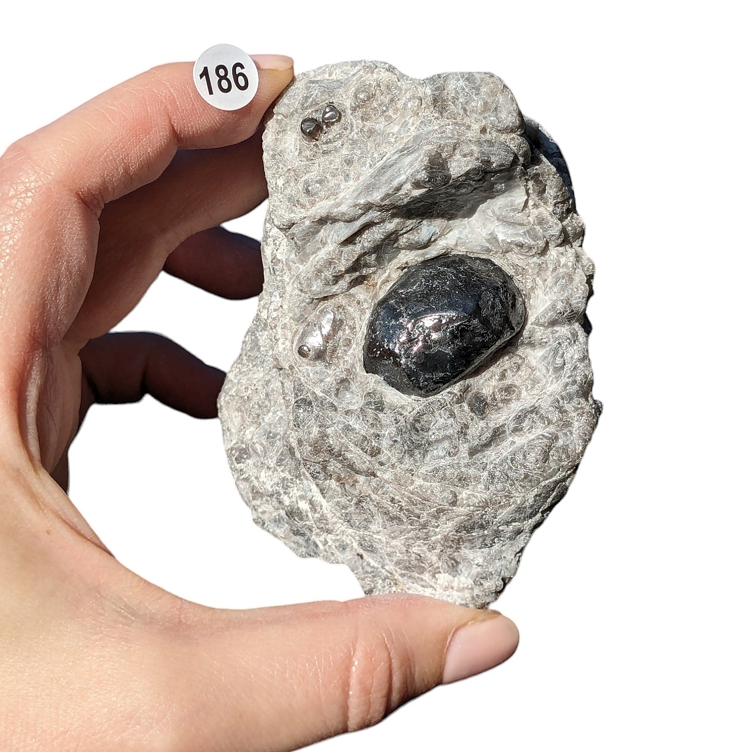 Obsidienne Larme d’Apache sur Gangue – Protection