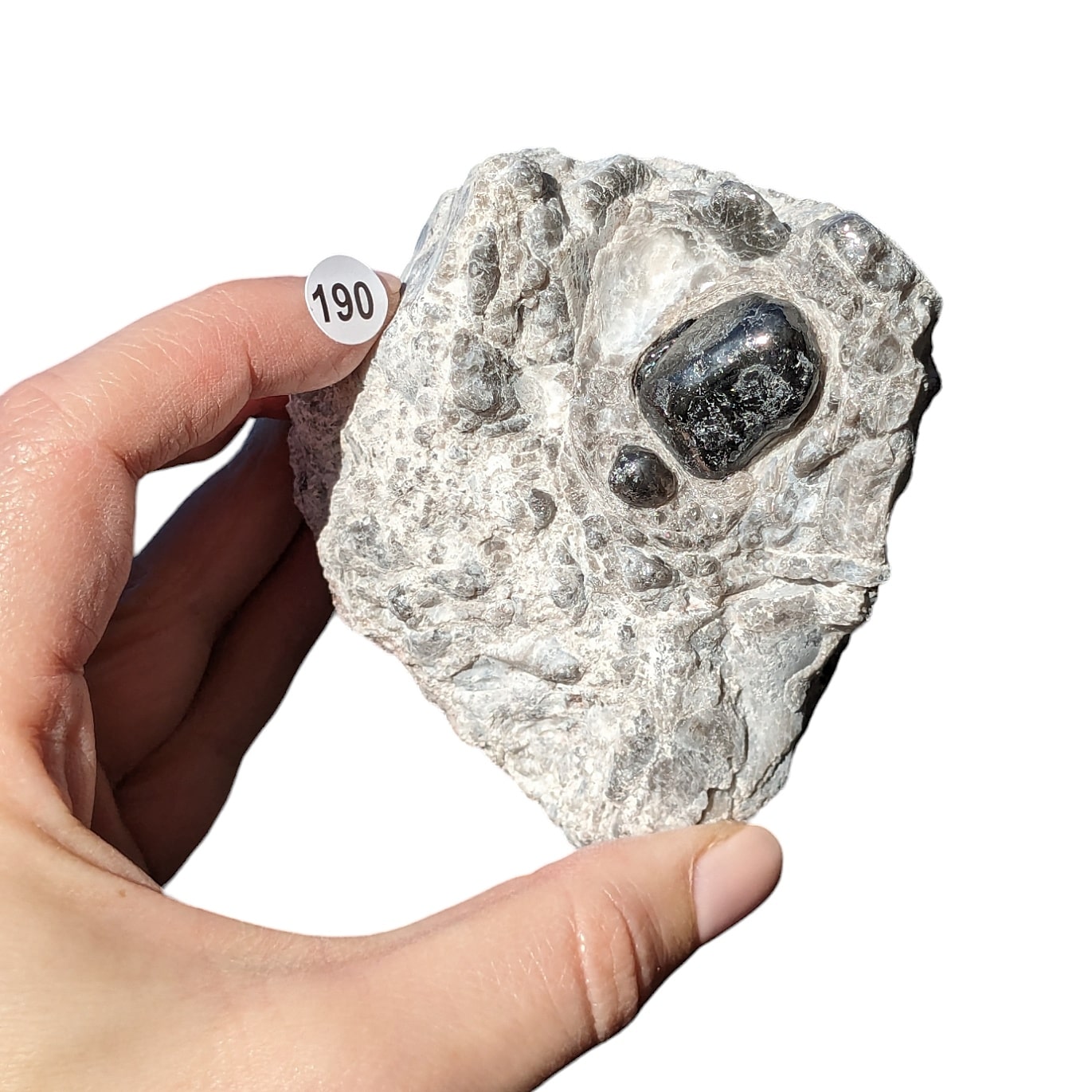 Obsidienne Larme d’Apache sur Gangue – Protection