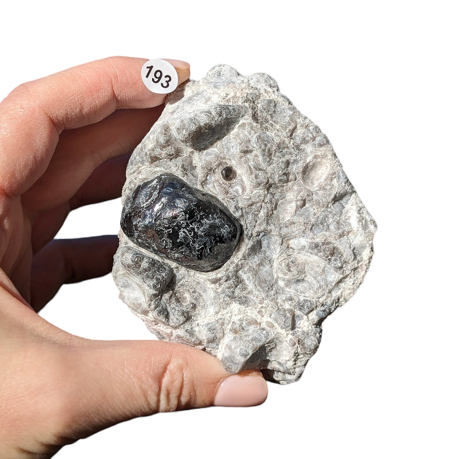 Obsidienne Larme d’Apache sur Gangue – Protection