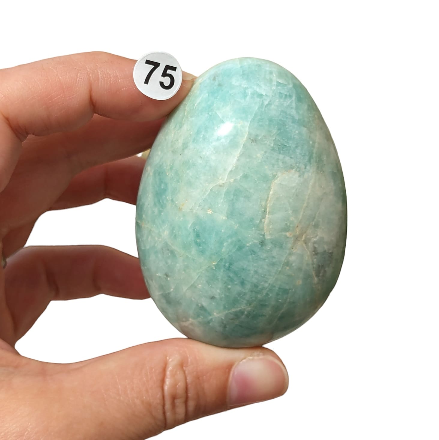 Oeuf amazonite
