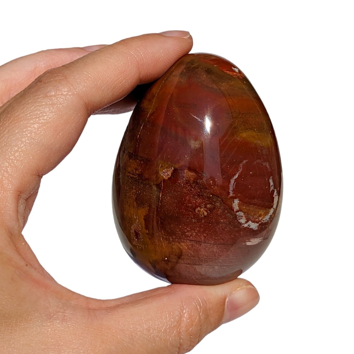 Oeuf bois fossilisé N°174