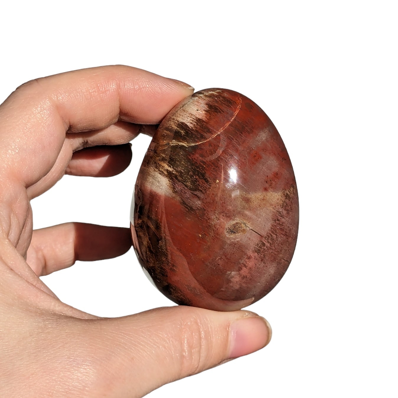 Oeuf bois fossilisé N°8