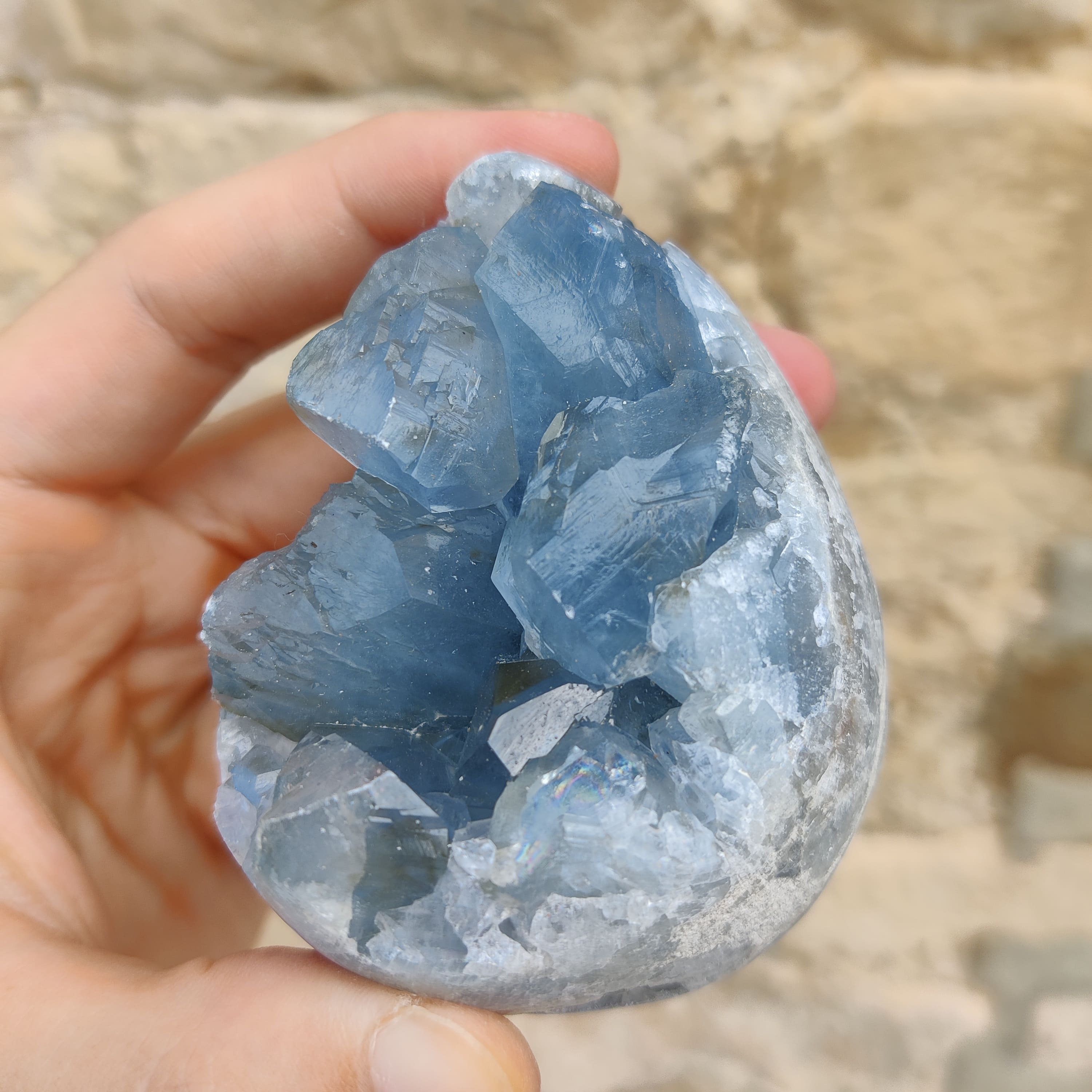 Oeuf célestine n° 2