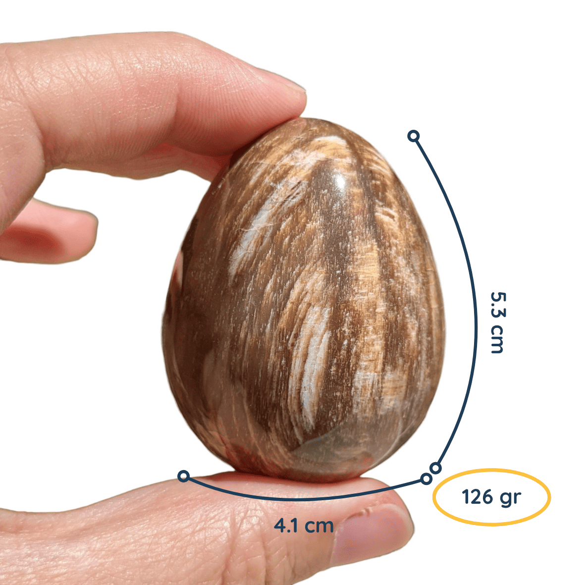 oeuf en pierre bois fossile