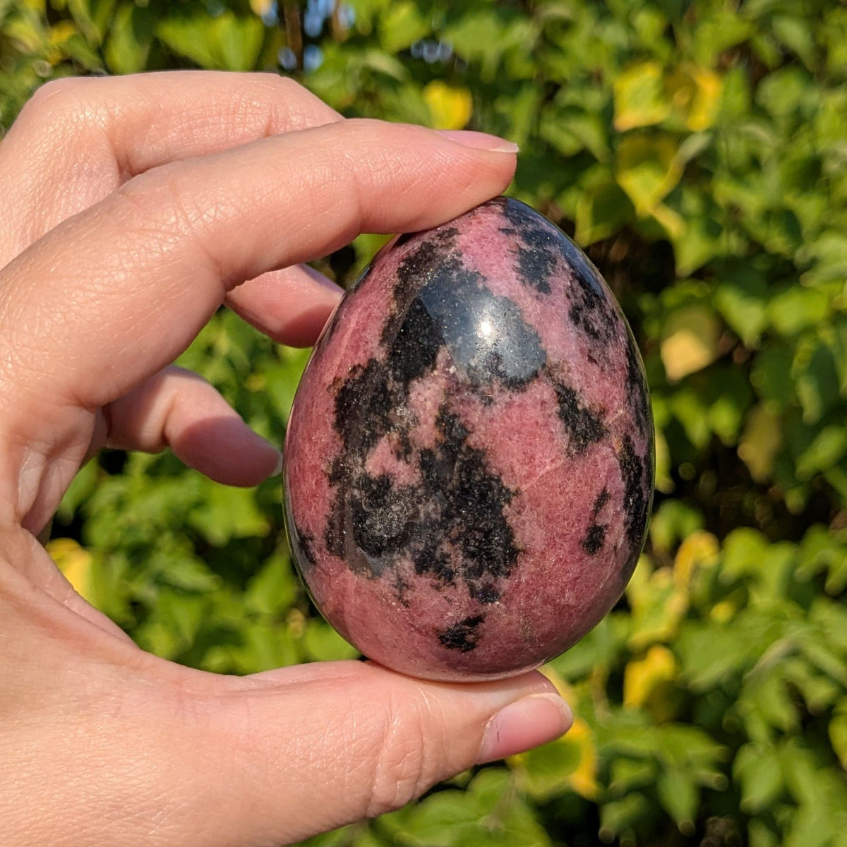Oeuf rhodonite
