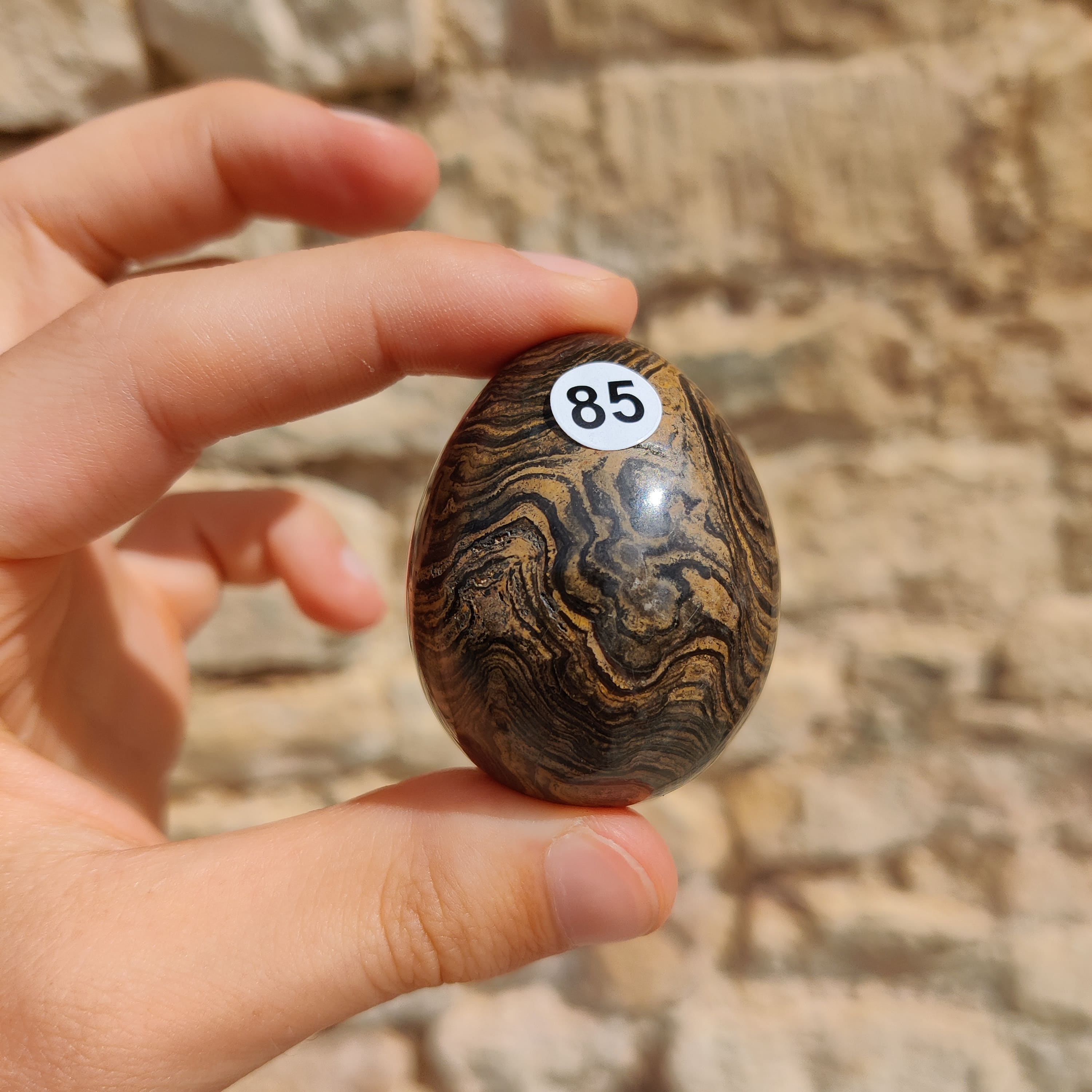 Œuf Stromatolite