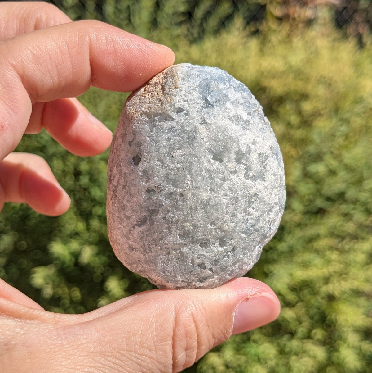 Oeuf Celestine