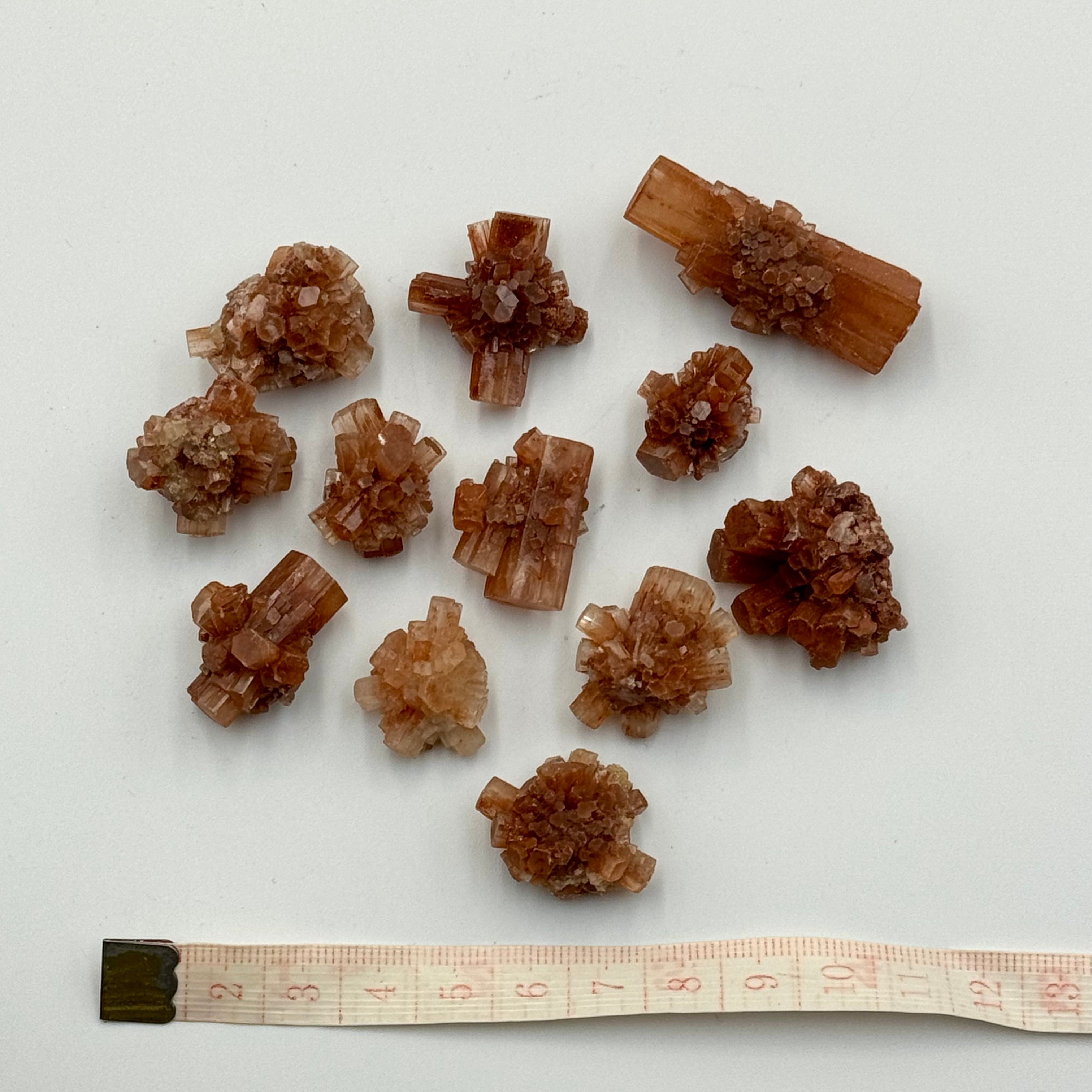Lot 12 aragonites 2cm