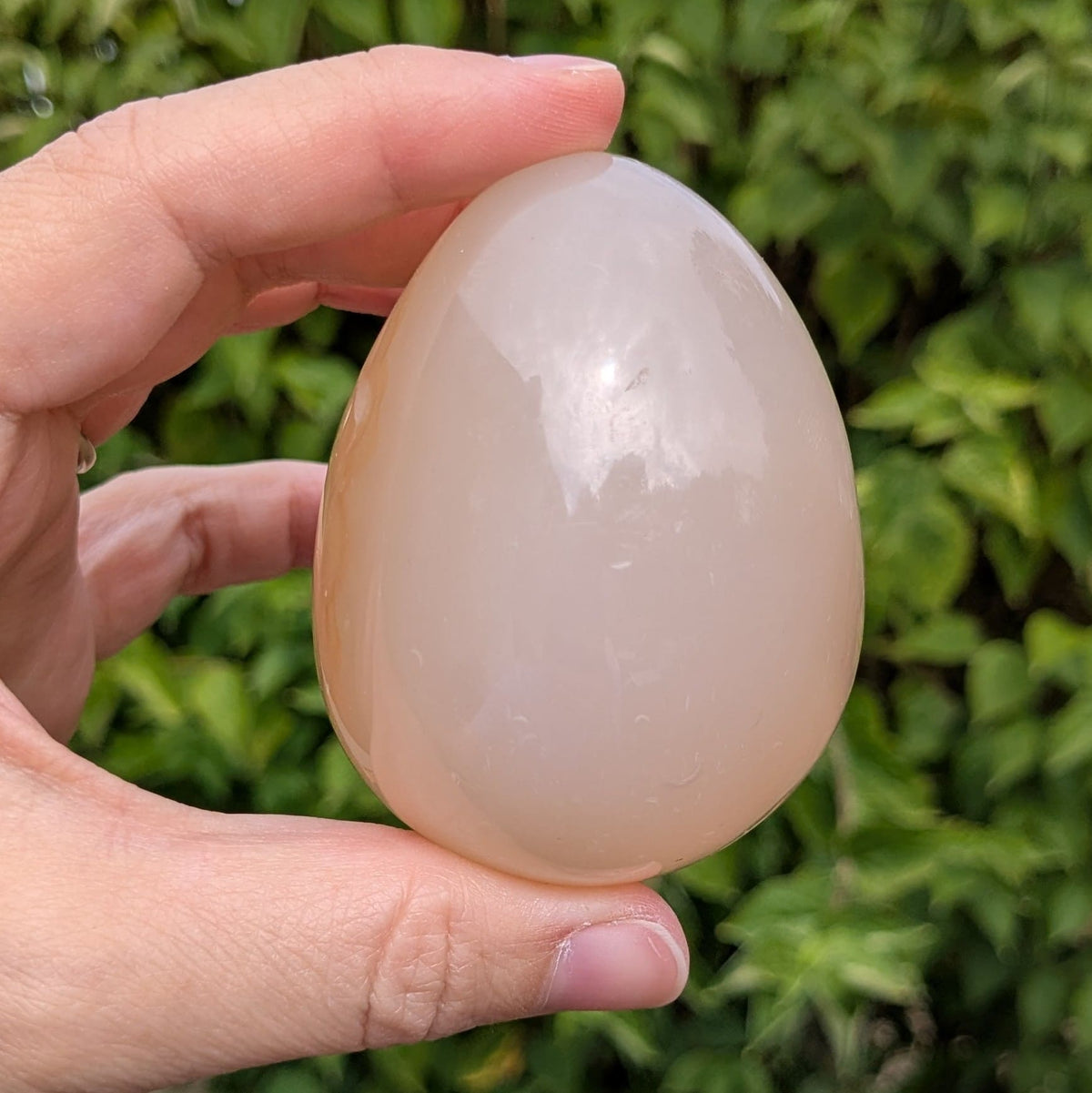 Oeuf agate