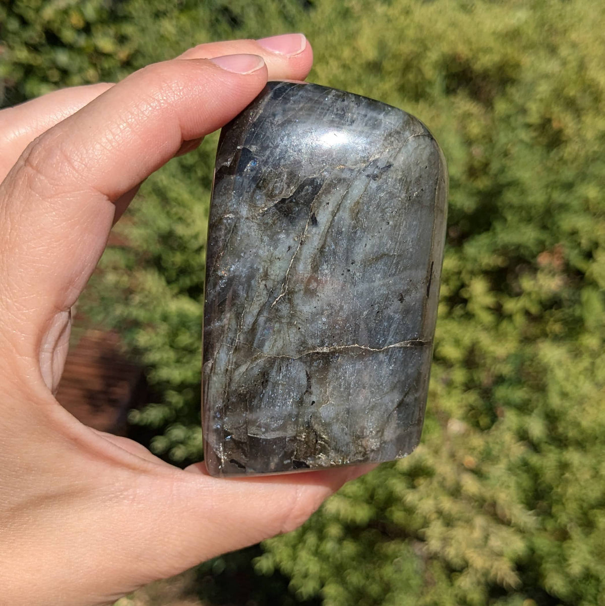 Bloc Labradorite N°42