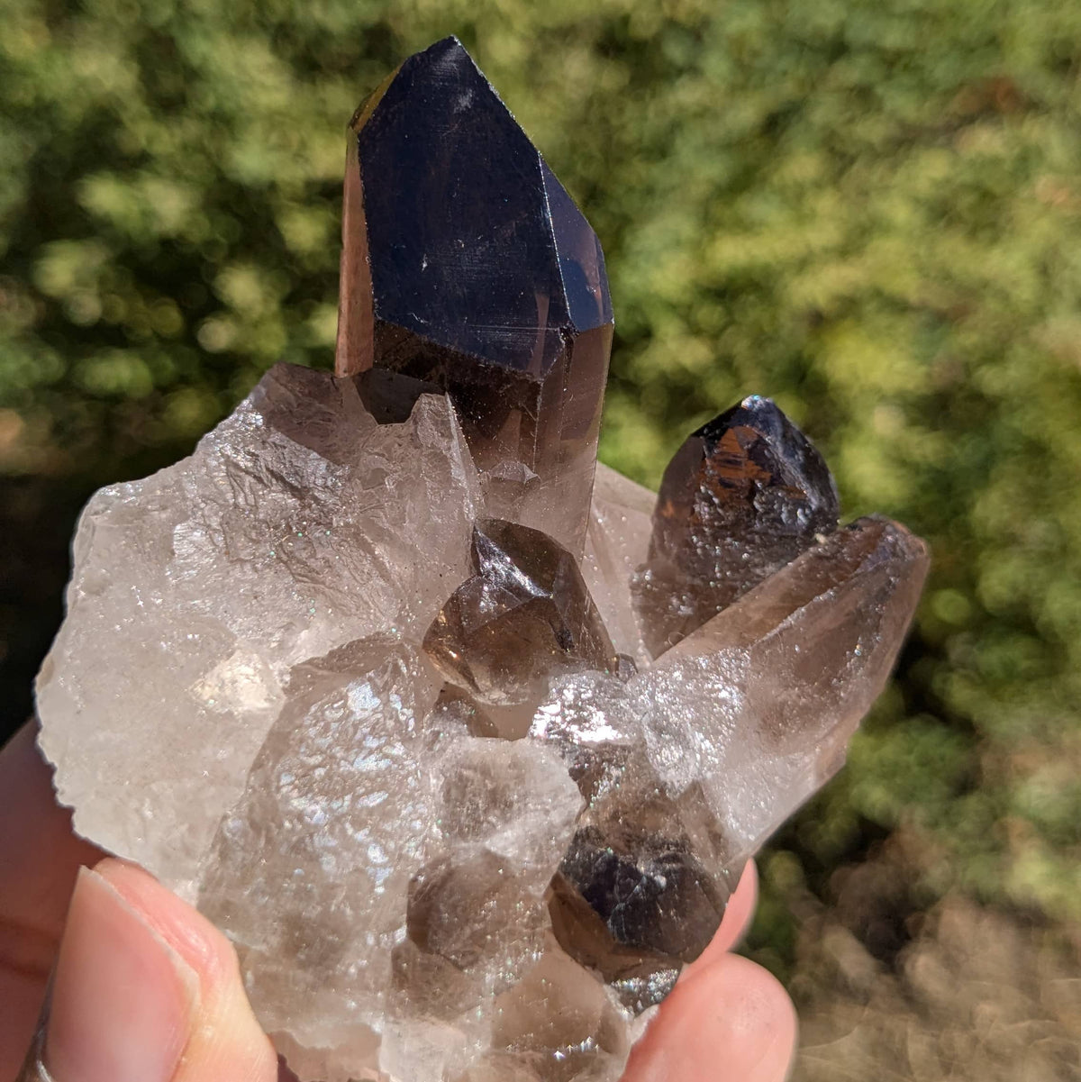 Amas quartz fumé n°58