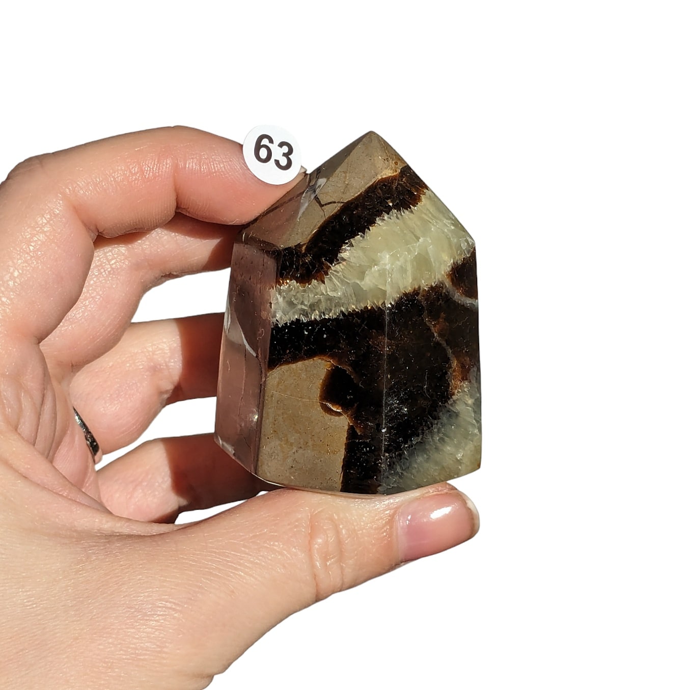 pointe pierre septaria