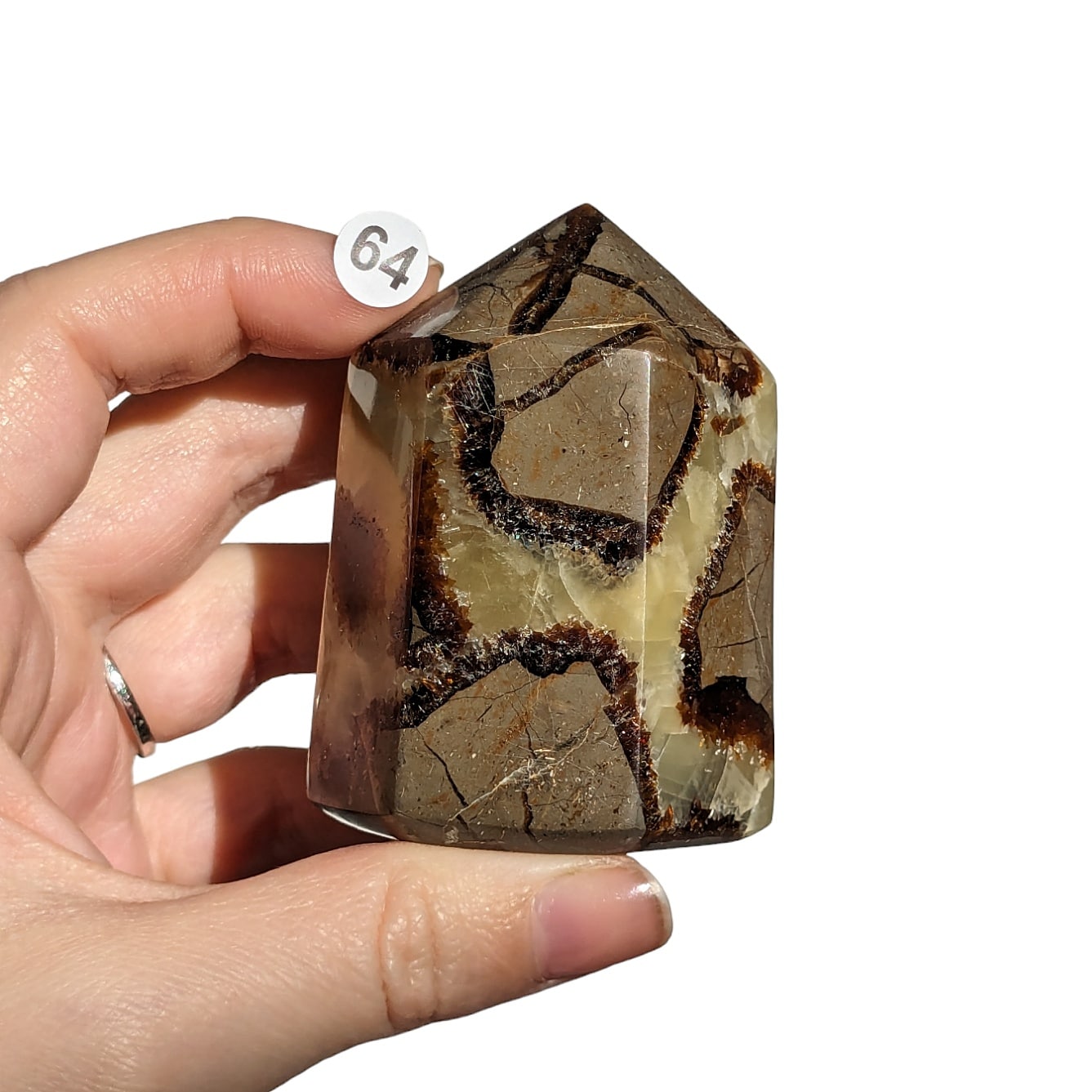 pointe pierre naturelle septaria