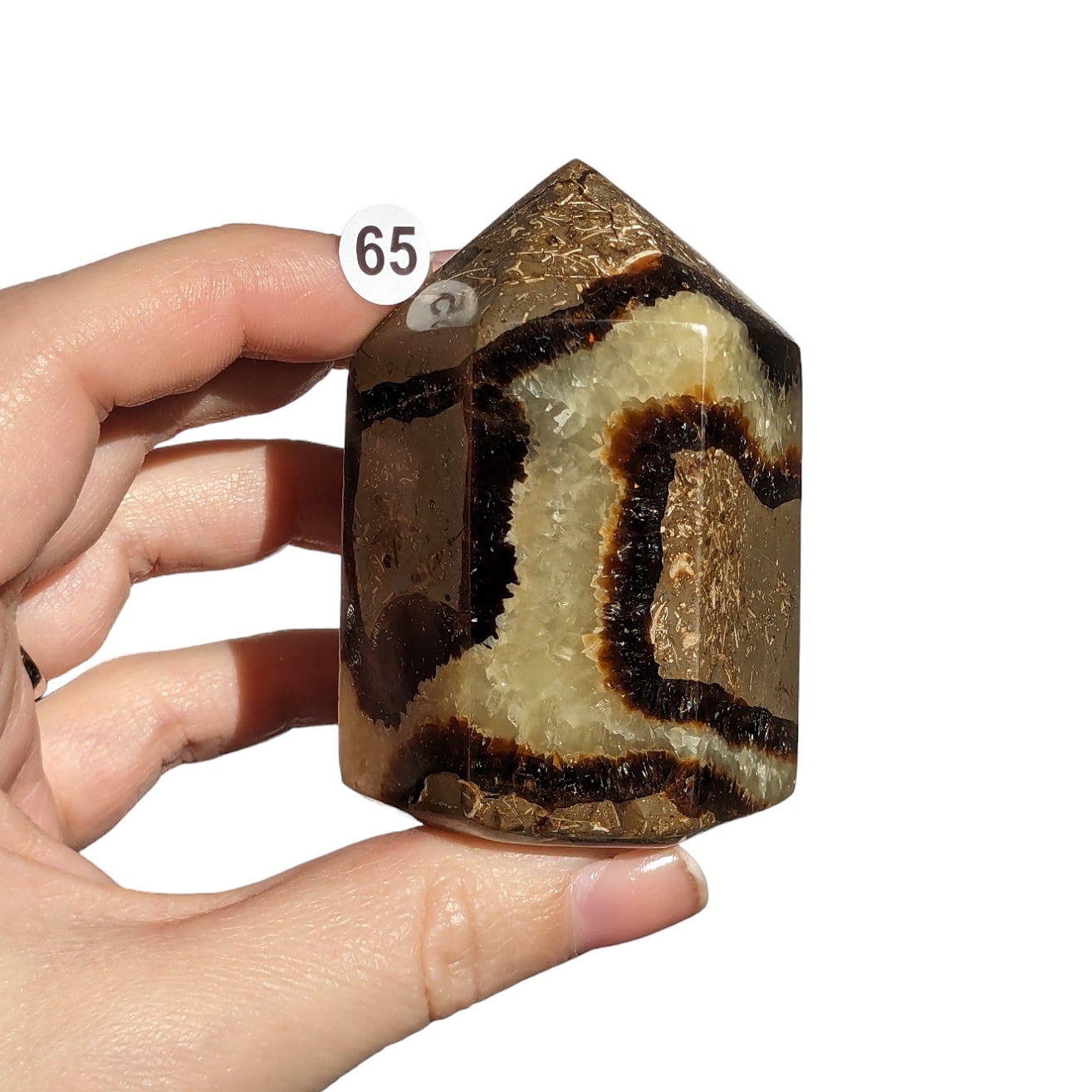 pierre septaria en pointe