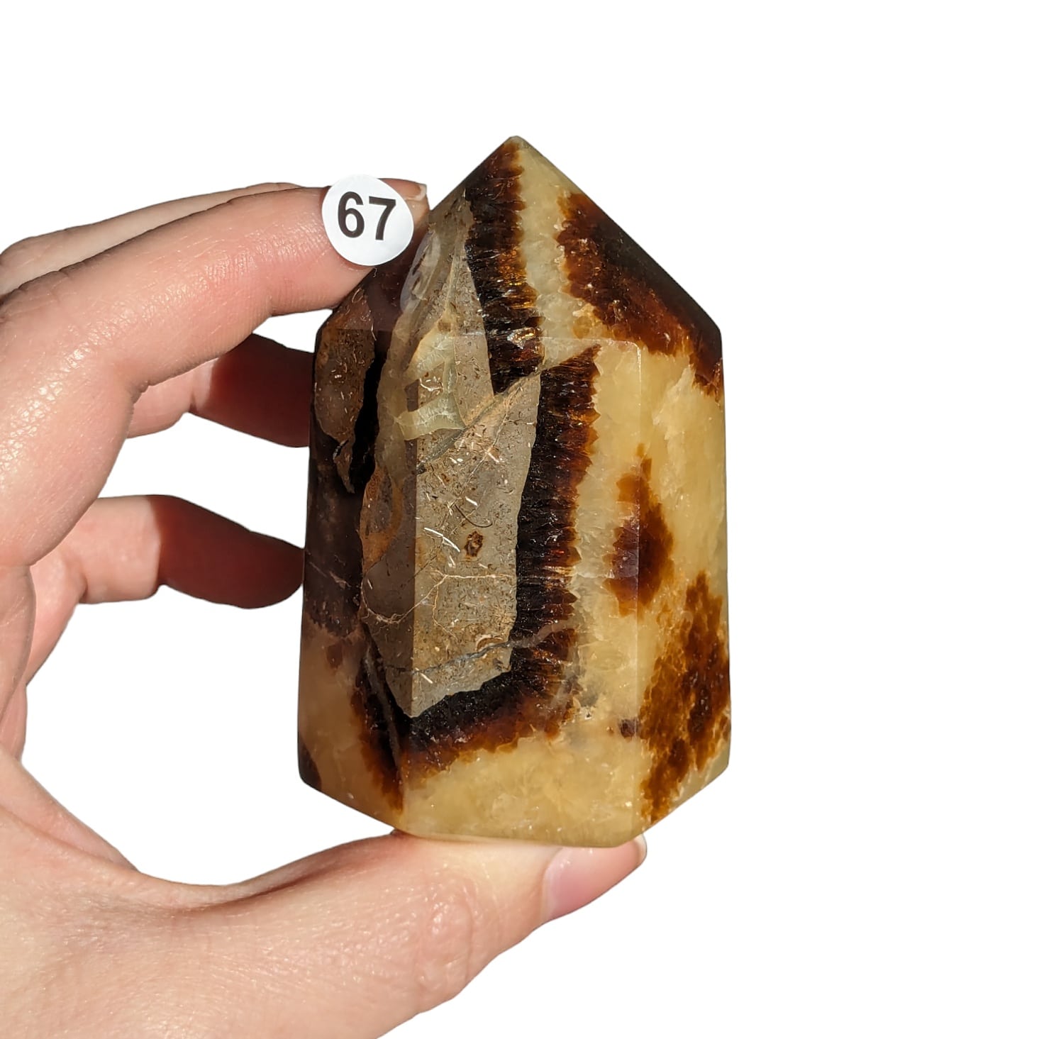 pierre naturelle septaria en pointe