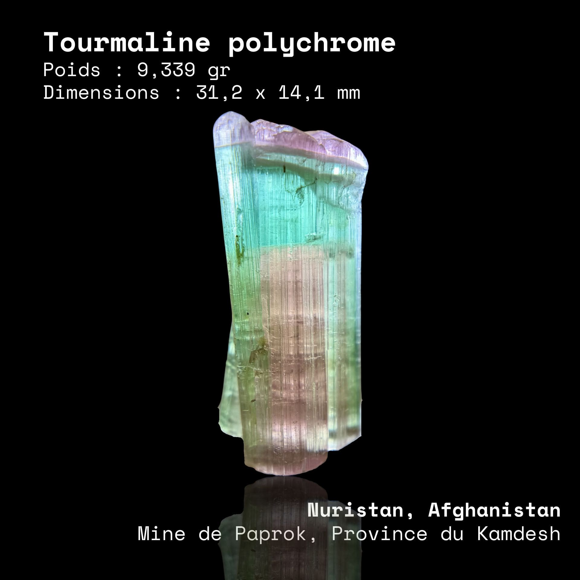 Tourmaline Gemme Polychrome (9,33g) - Paprok