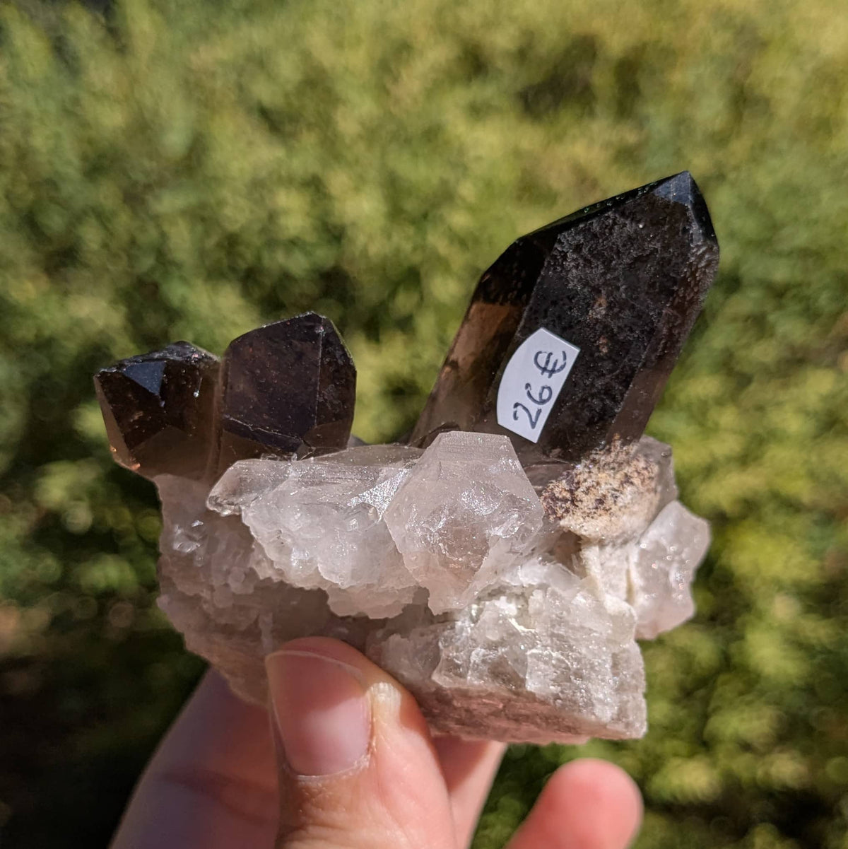 Amas quartz fumé n°58