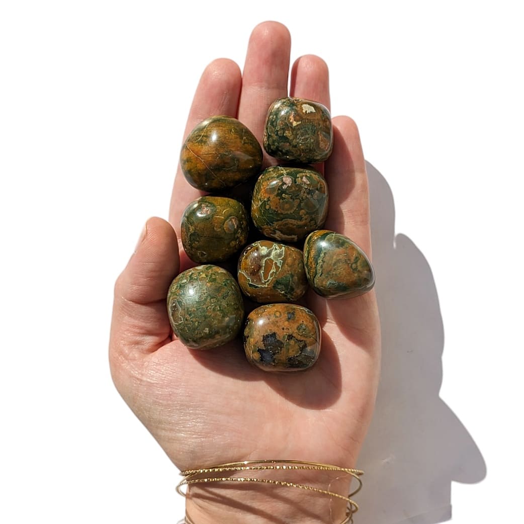 Pierre Roulée Rhytolite – Équilibre et Stabilité Émotionnelle