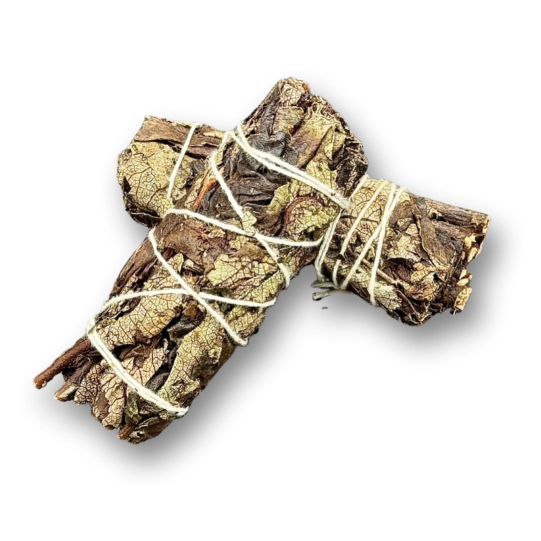 Bâton de Sauge Noire Armoise Mexique : Rêves & Voyage Astral