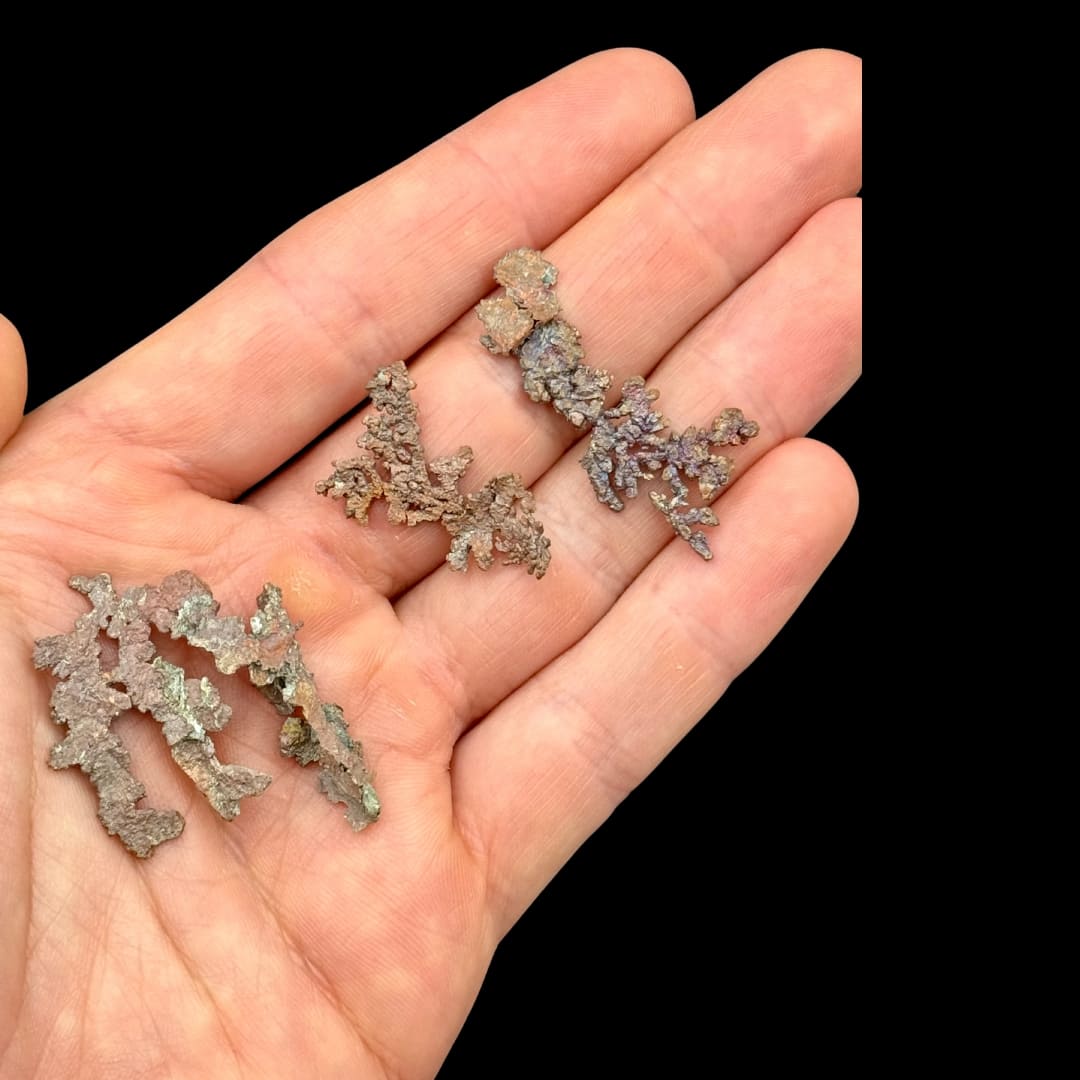 Cuivre Natif du Michigan (USA)