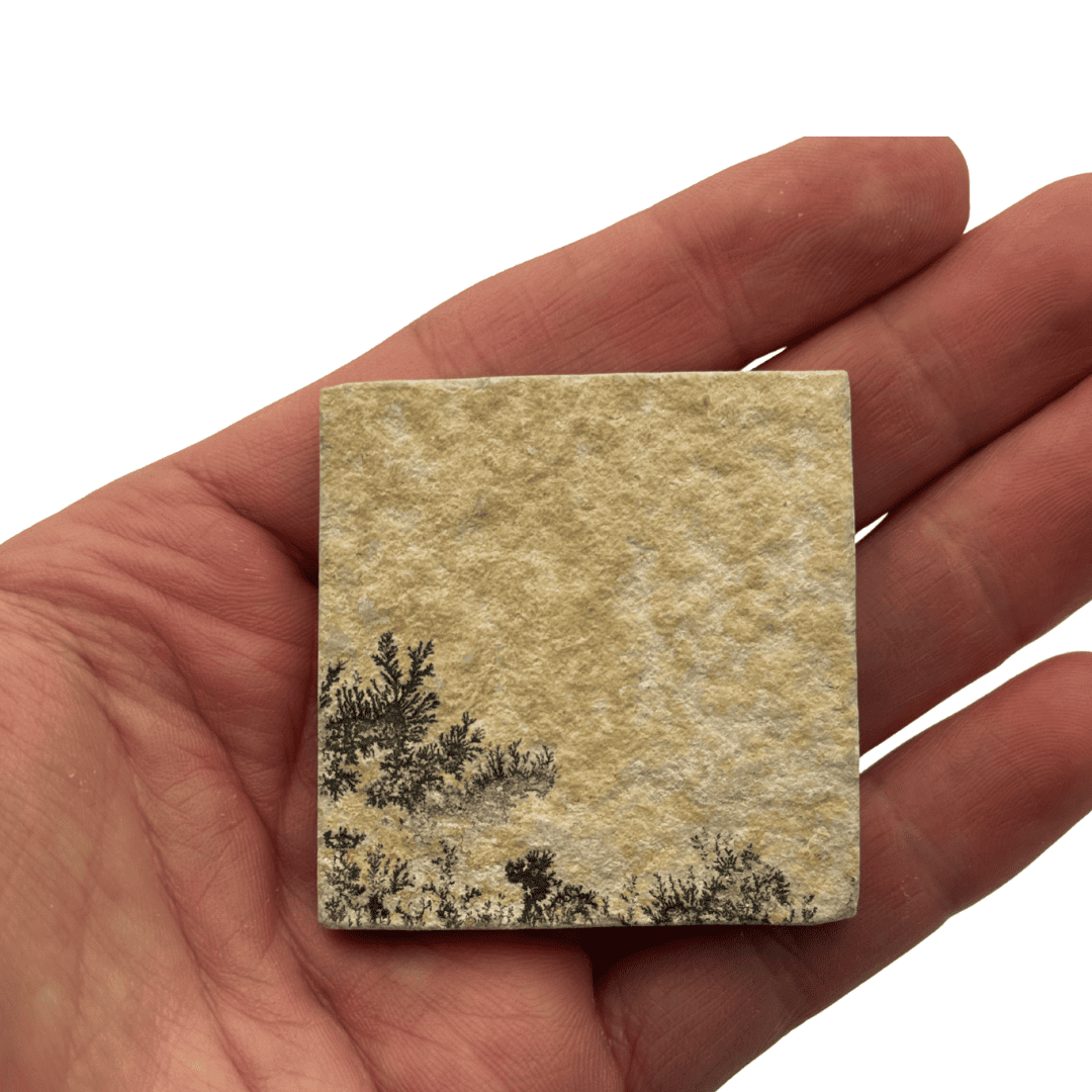 Dendrite sur calcaire