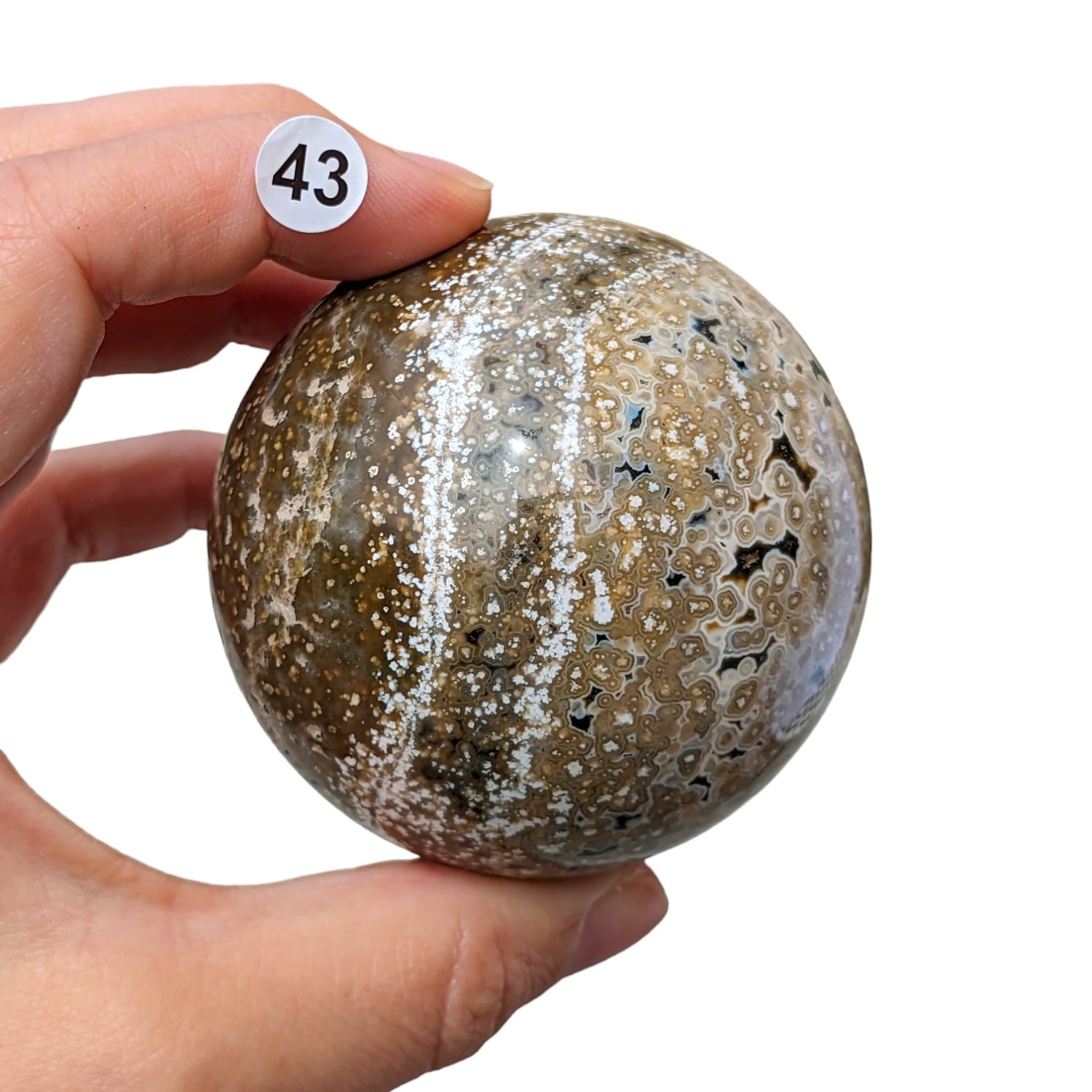 sphere jaspe orbiculaire 44