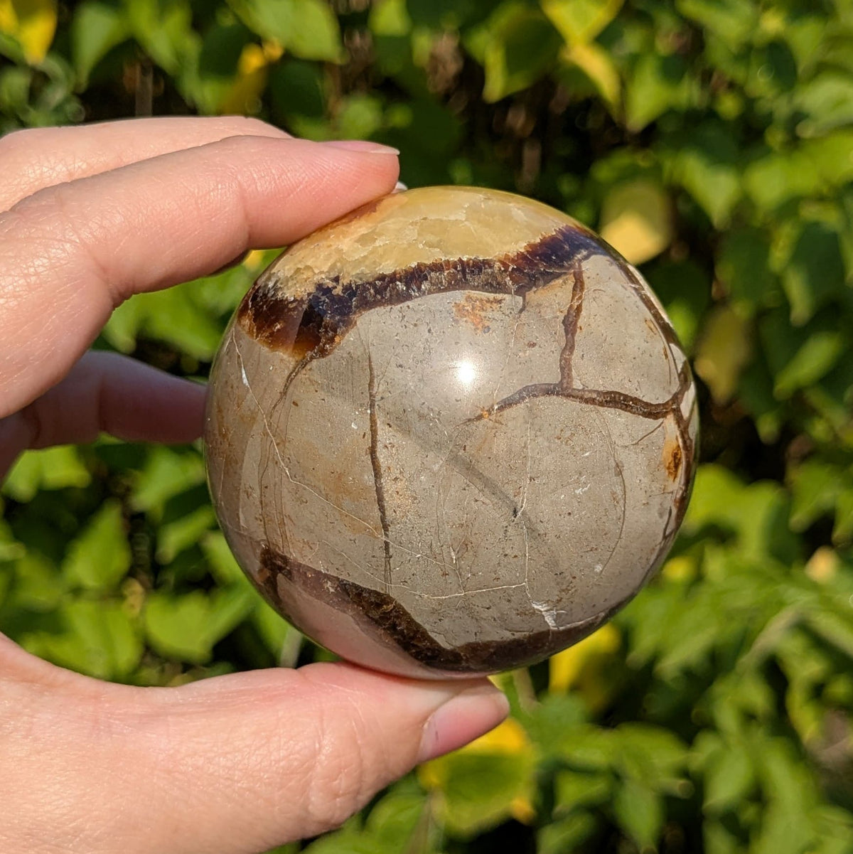 Sphère septaria