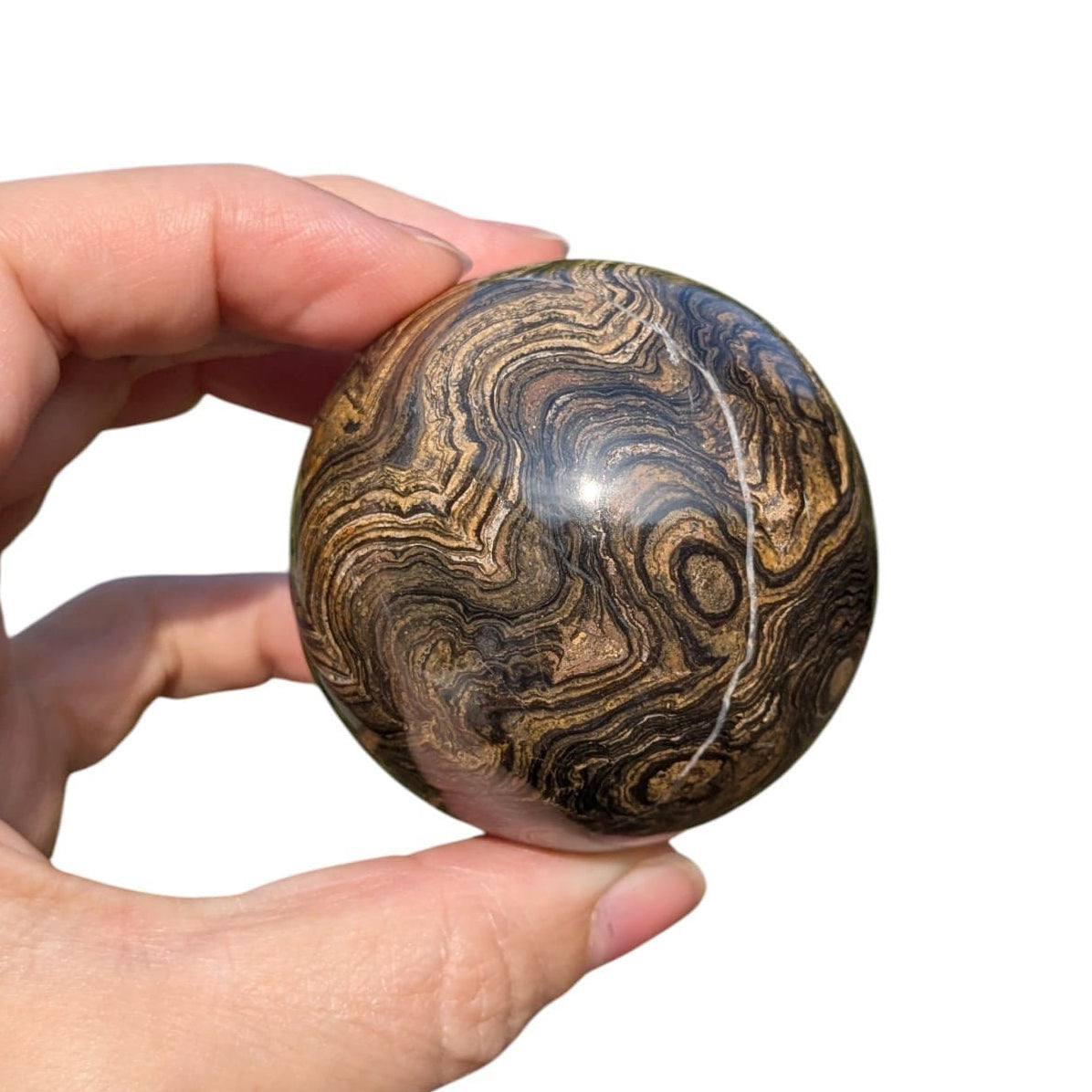 Sphere stromatolite