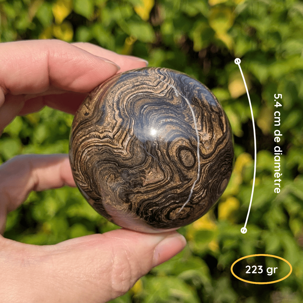 Sphere stromatolite