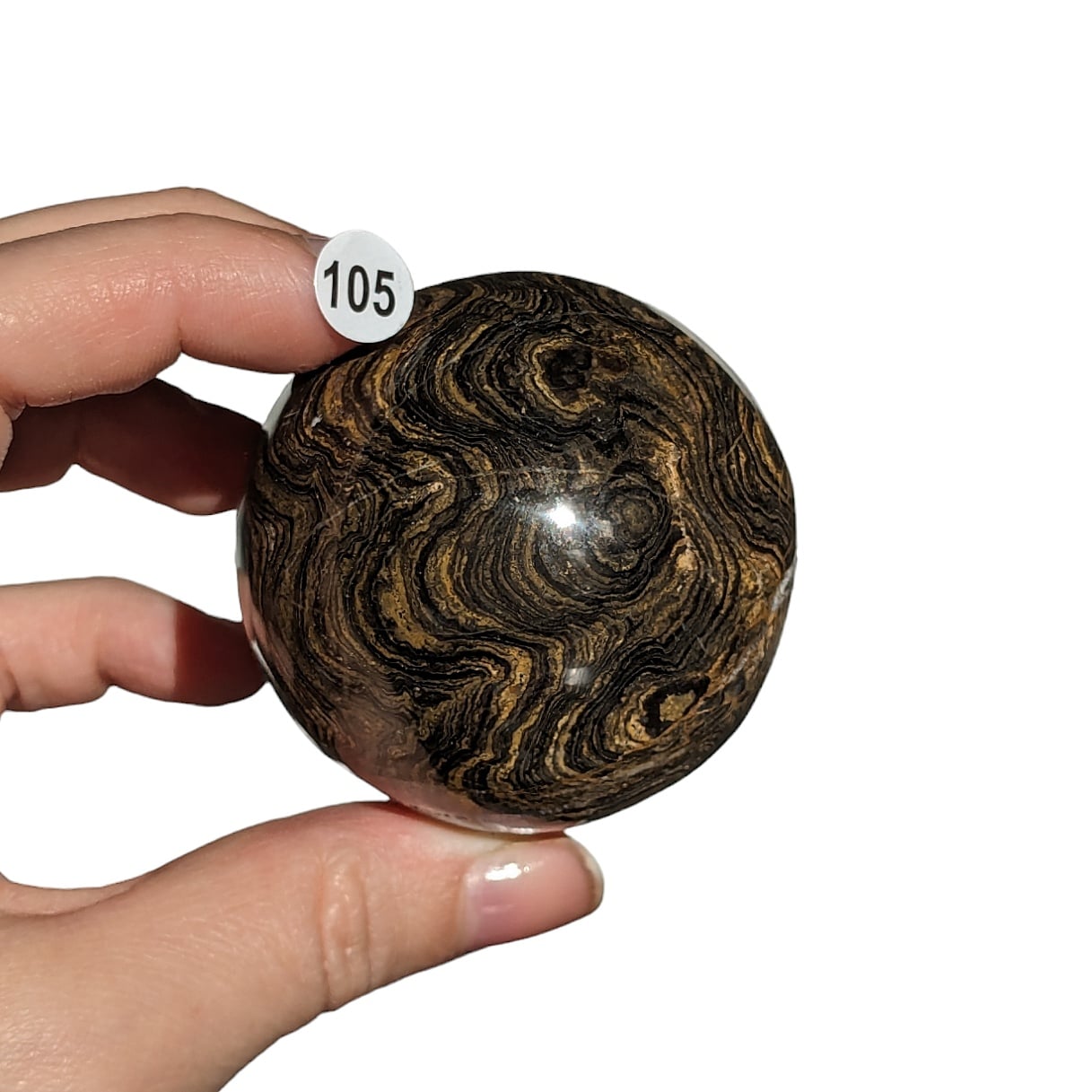 sphere pierre stromatolite