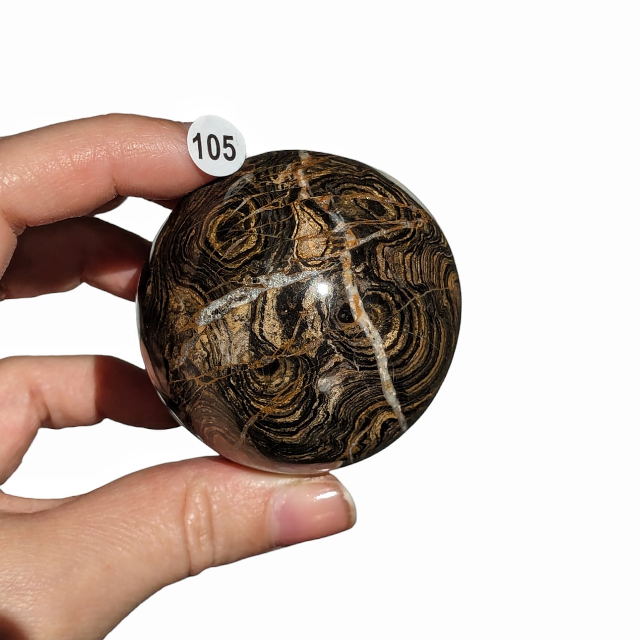 stromatolite en sphere
