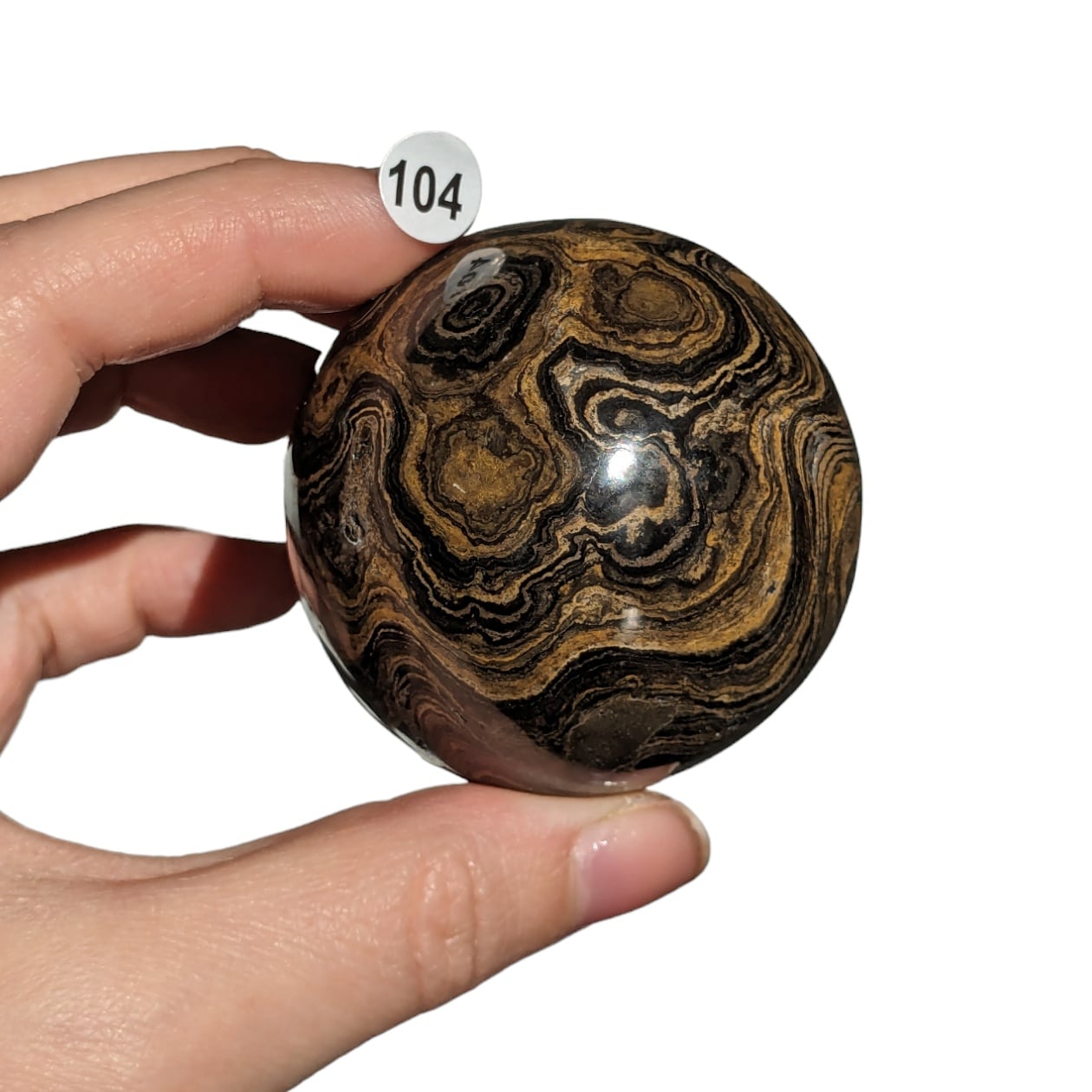 sphere stromatolite