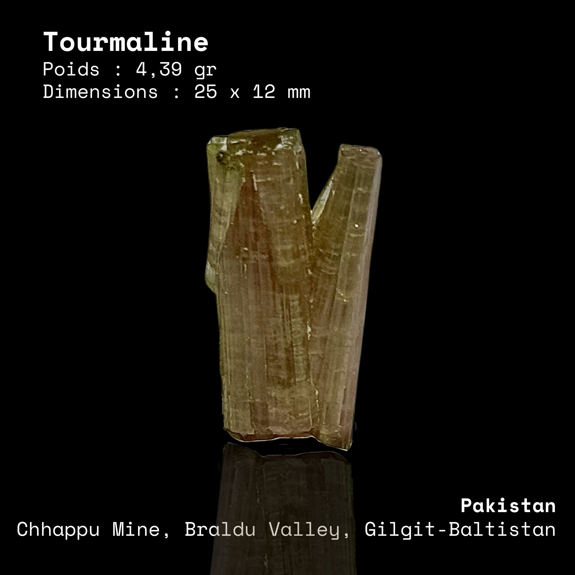Tourmaline Bicolore — Mine de Chhappu, Pakistan