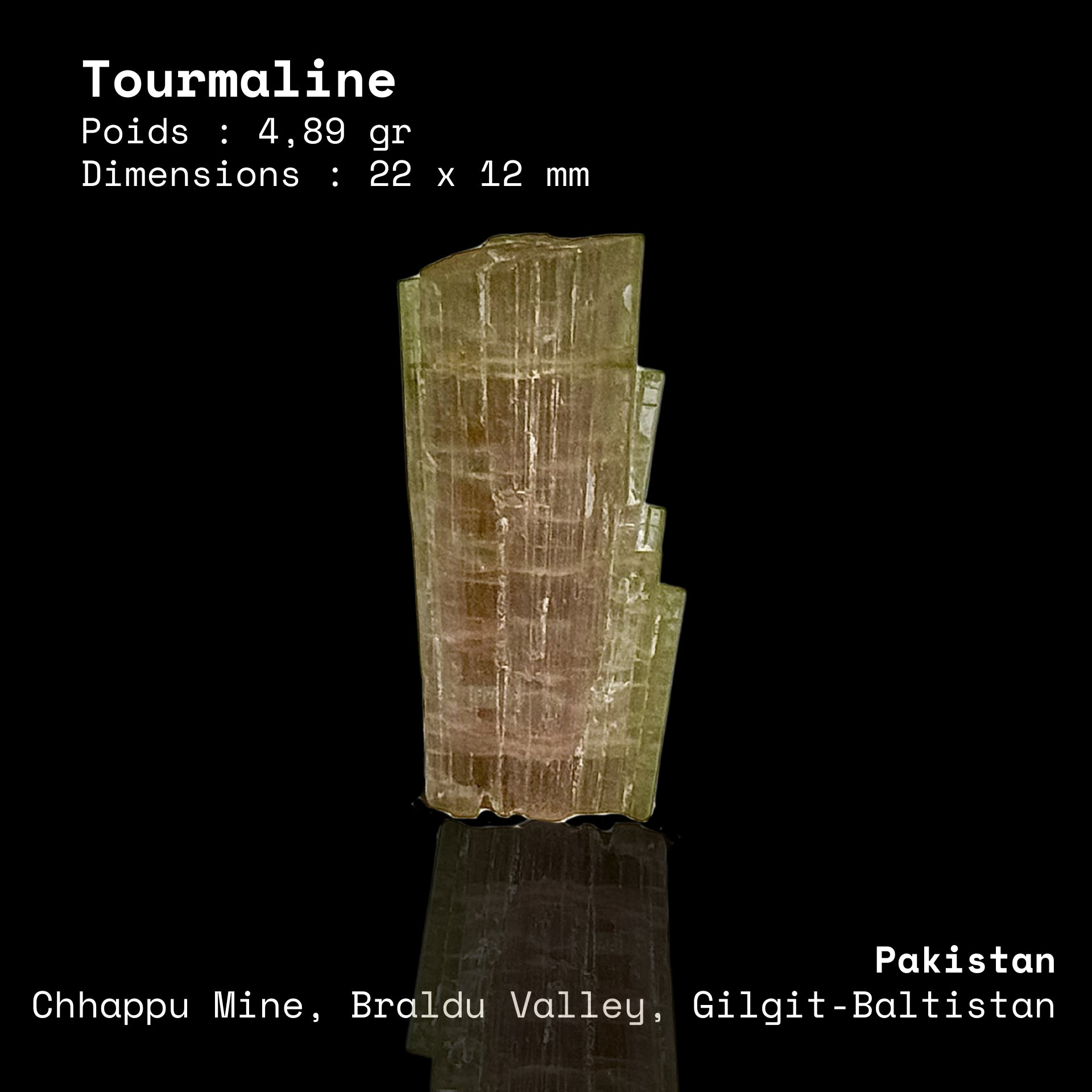 Tourmaline Vert Pâle en Gradins — Mine de Chhappu N°3, Pakistan