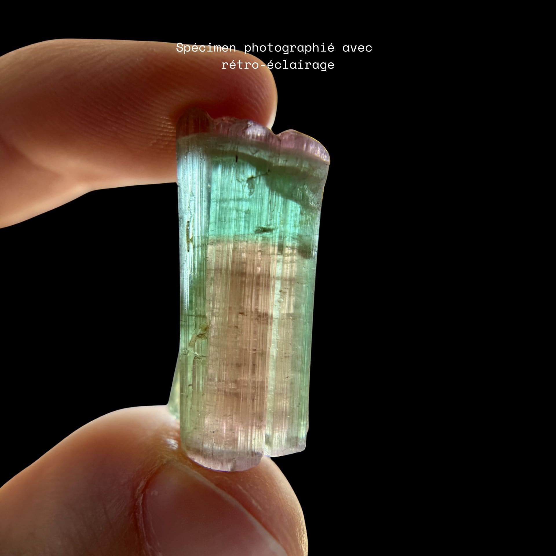 Tourmaline Gemme Polychrome (9,33g) - Paprok