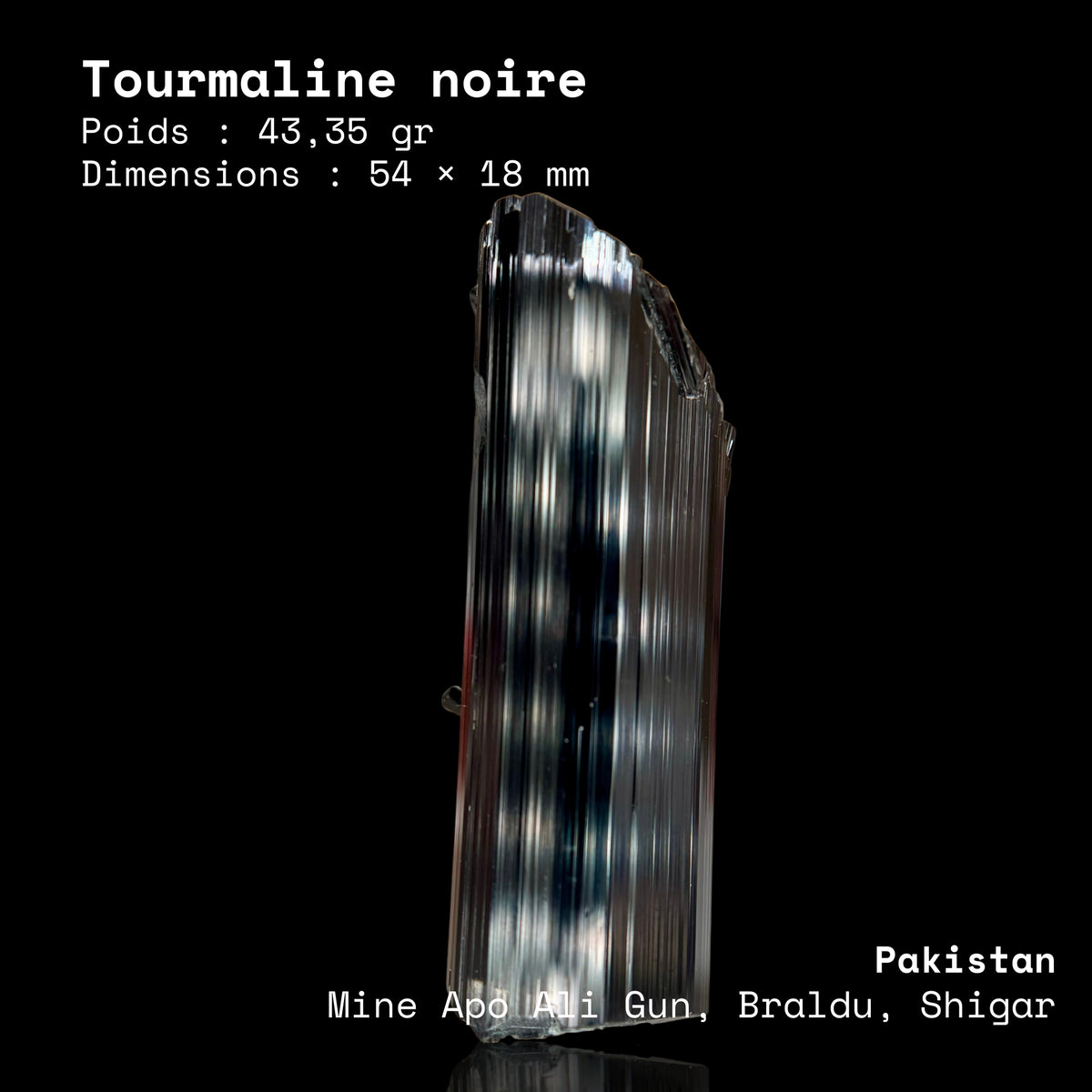 Schorl — 43,35 g · 54 × 18 mm