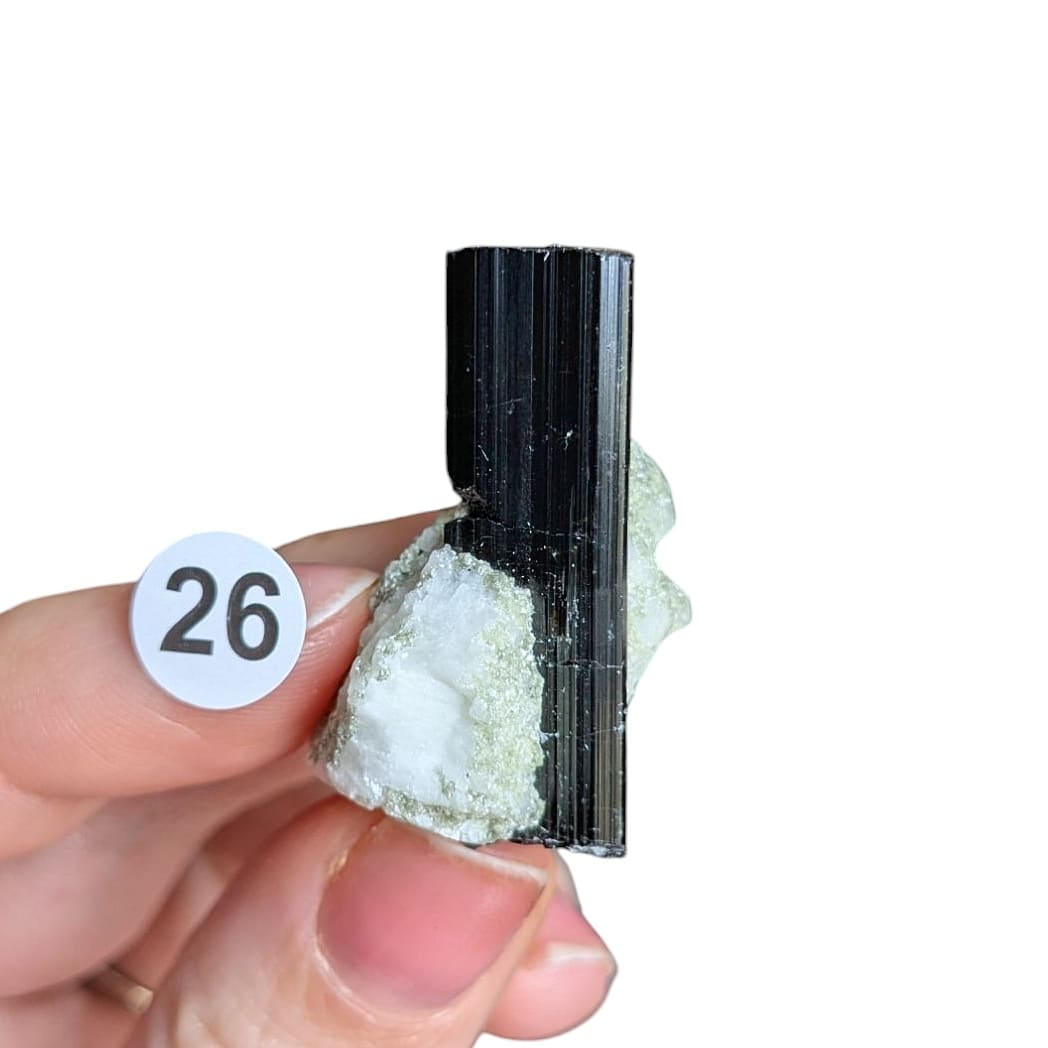 tourmaline sur albite brute