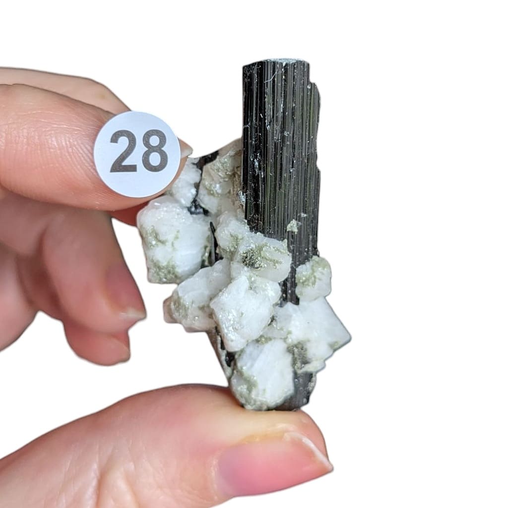 tourmaline brute sur albite