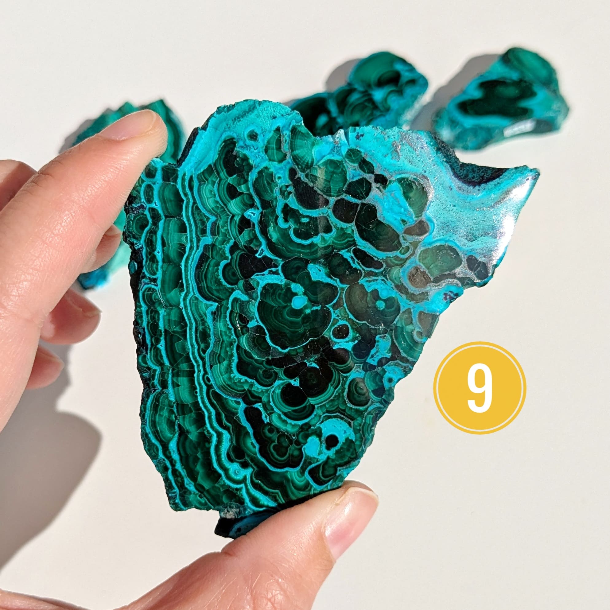 Tranche Malachite & Chrysocolle – Ancrage & Expression émotionnelle