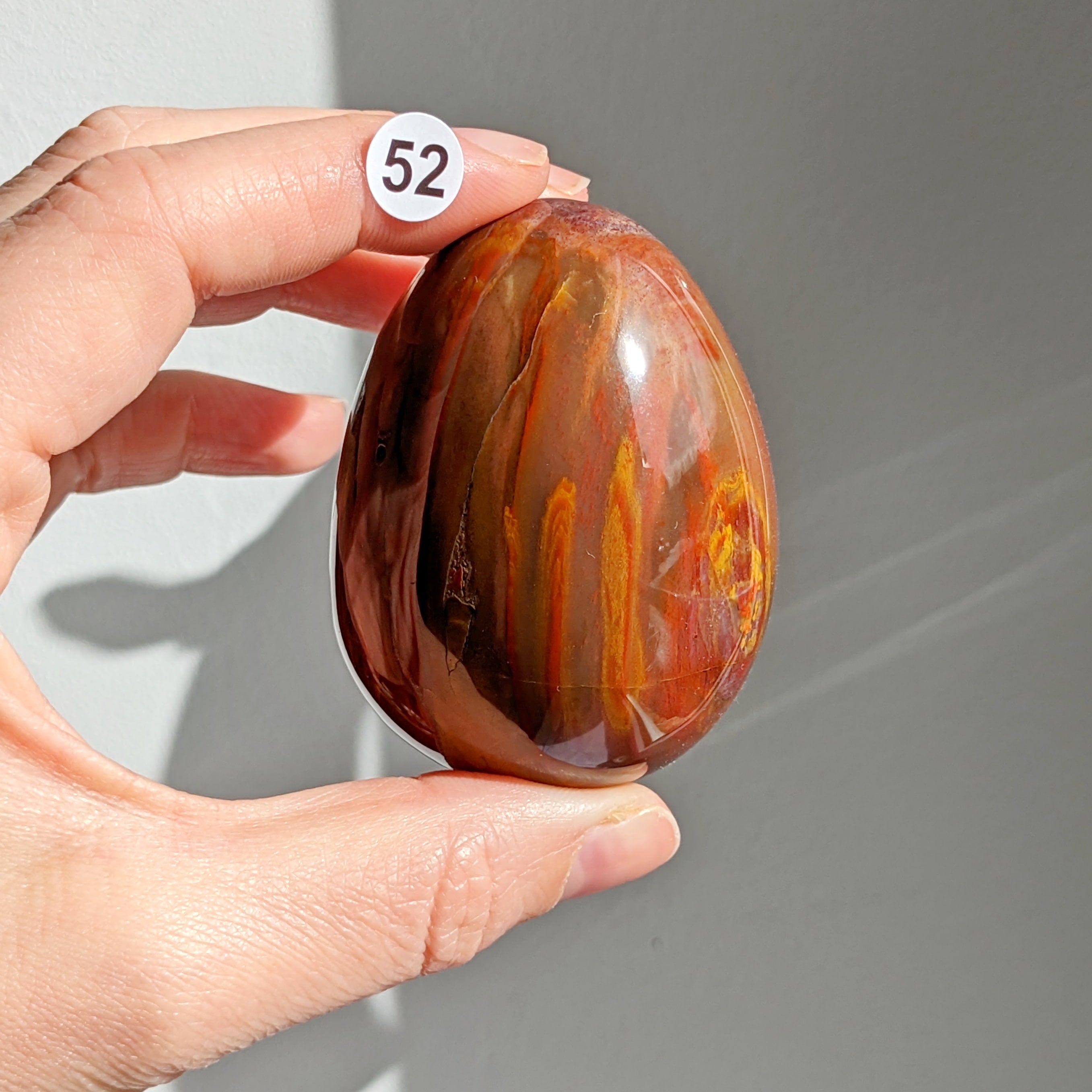 bois fossile 52
