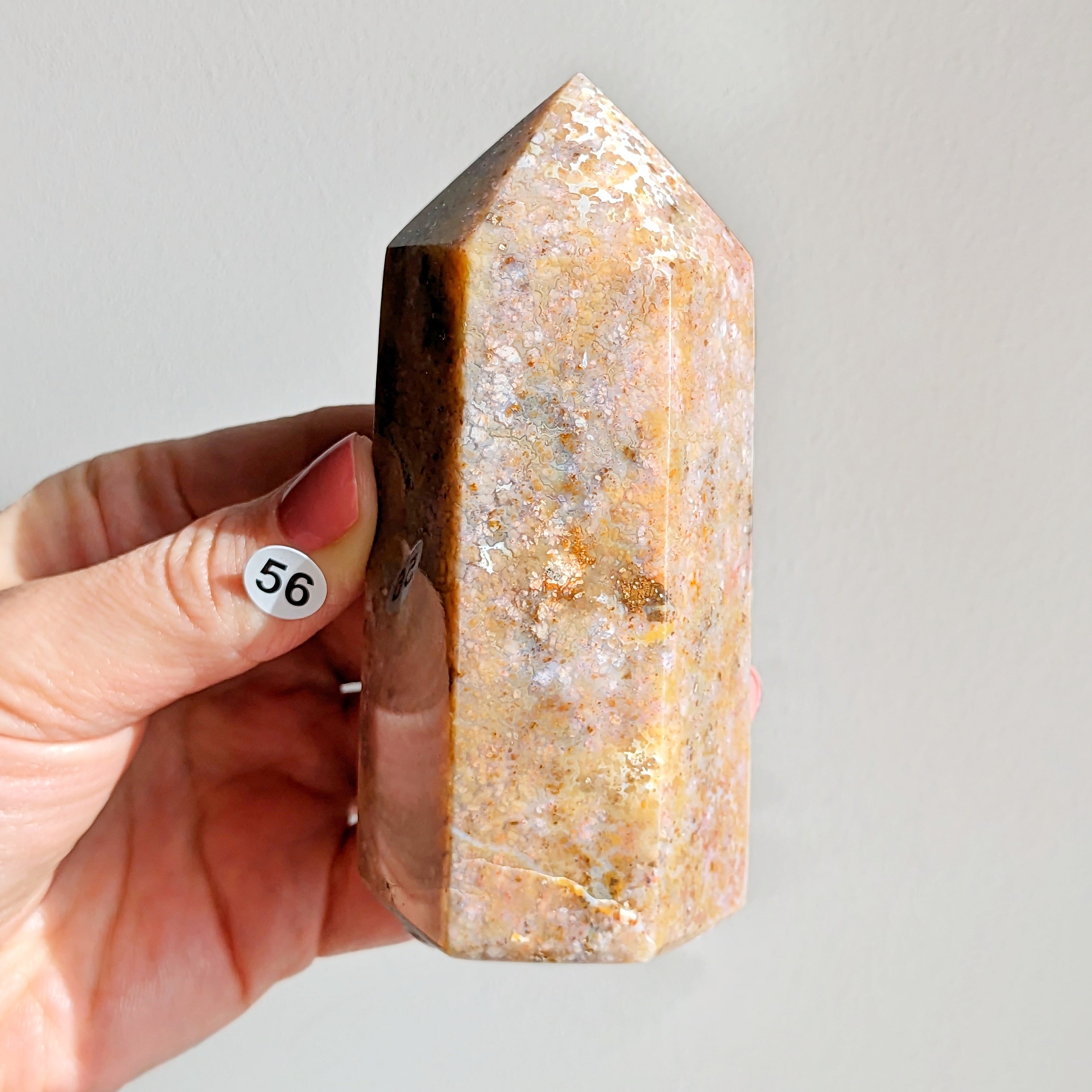 Pointe Jaspe orbiculaire