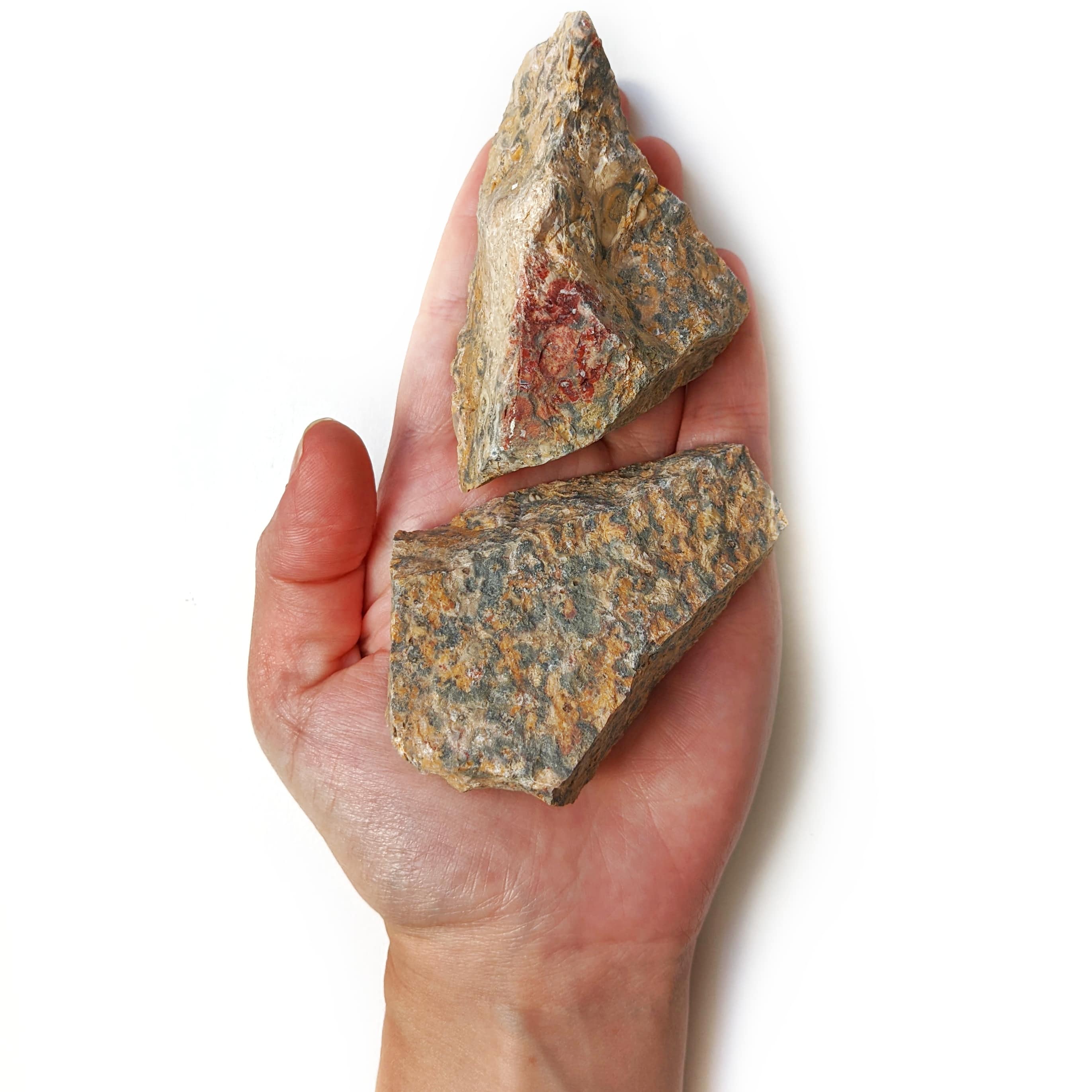 PIERRE JASPE LEOPARD BRUTE