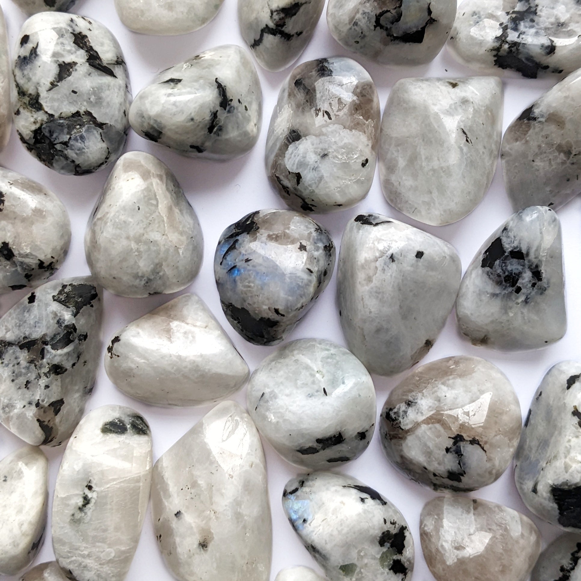 labradorite blanche pierre naturelle roulée