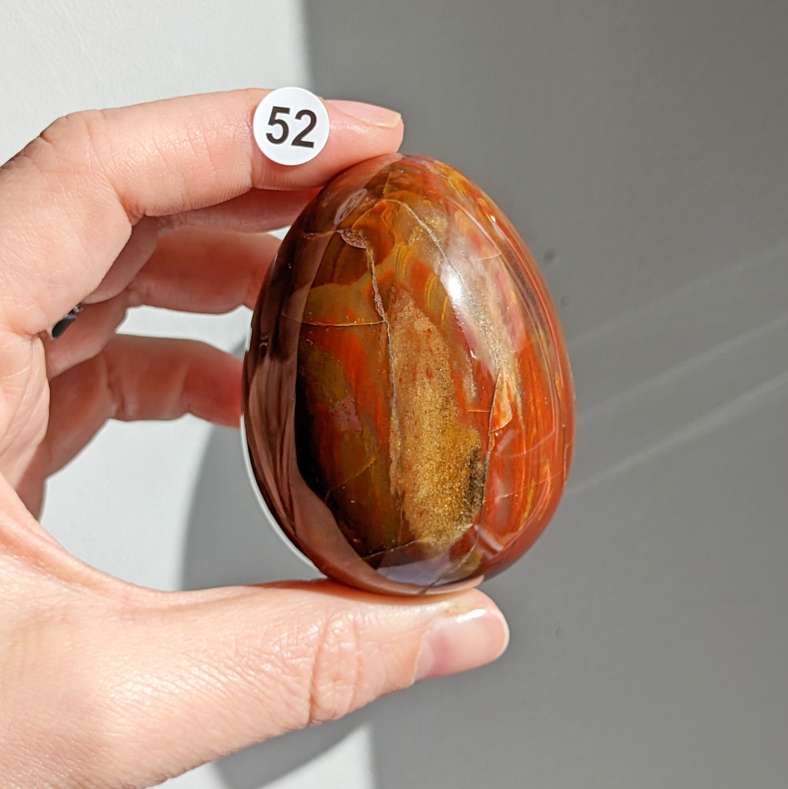 bois fossile oeuf 52