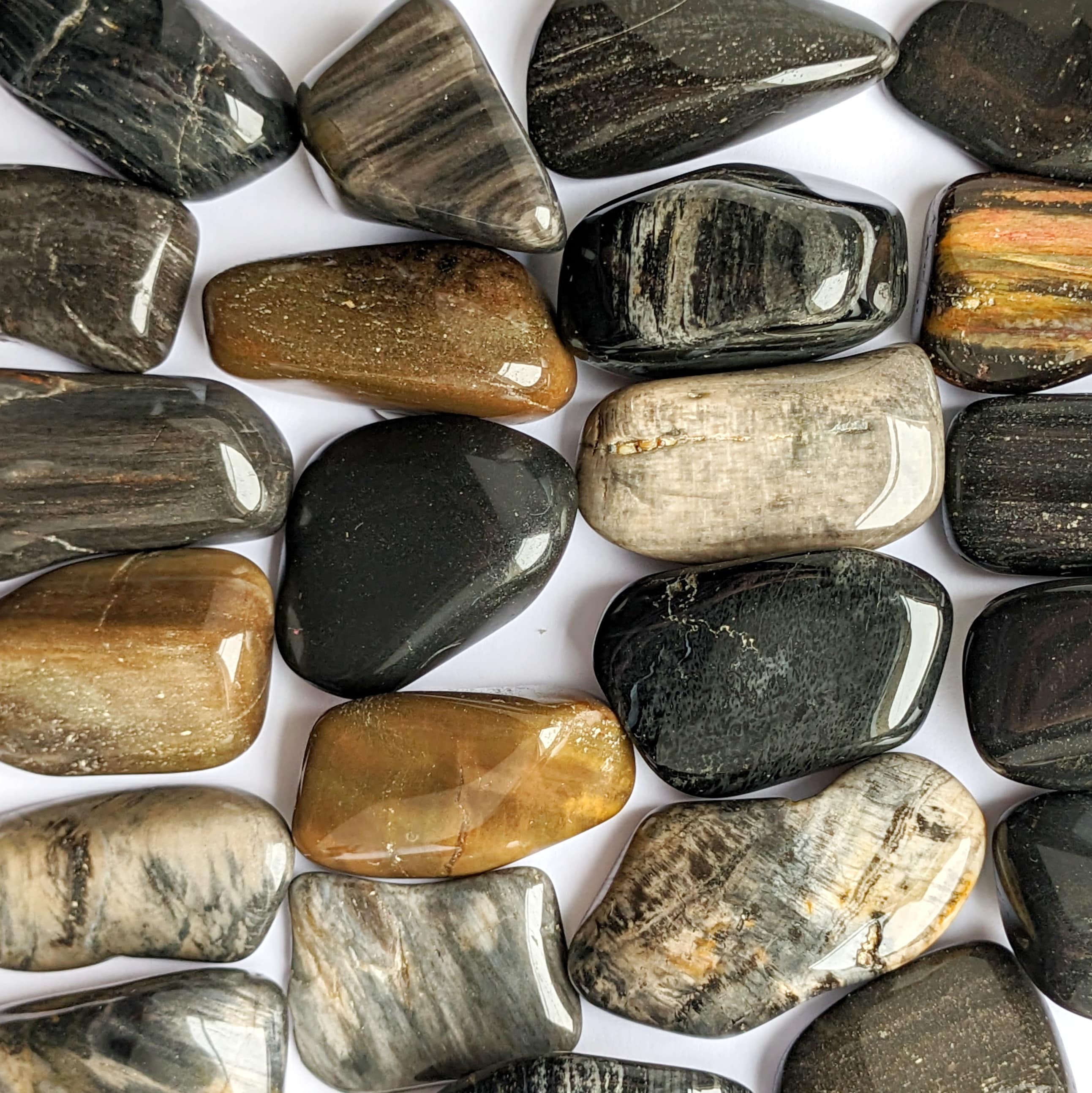bois fossilisé gris